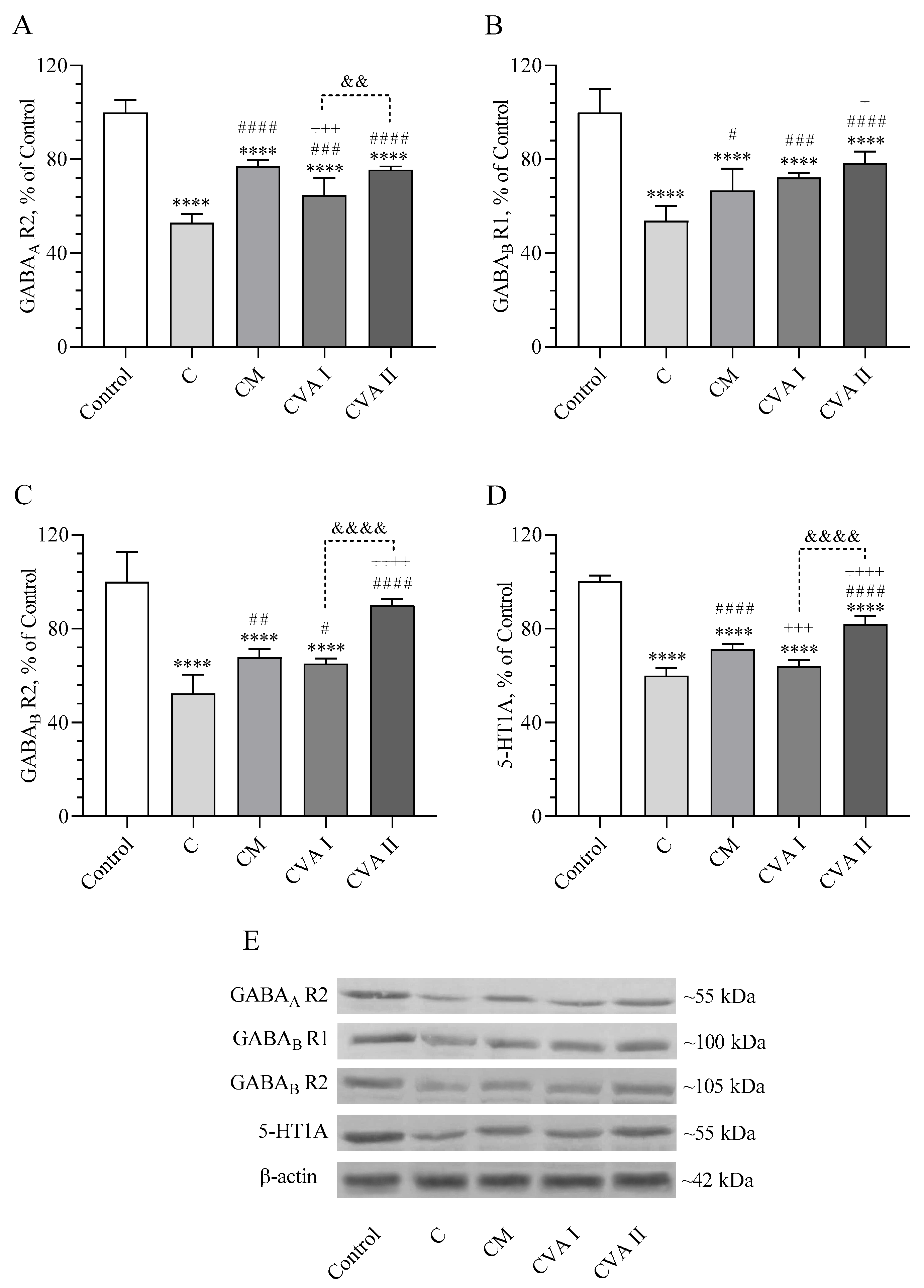 Antioxidants 13 00657 g004