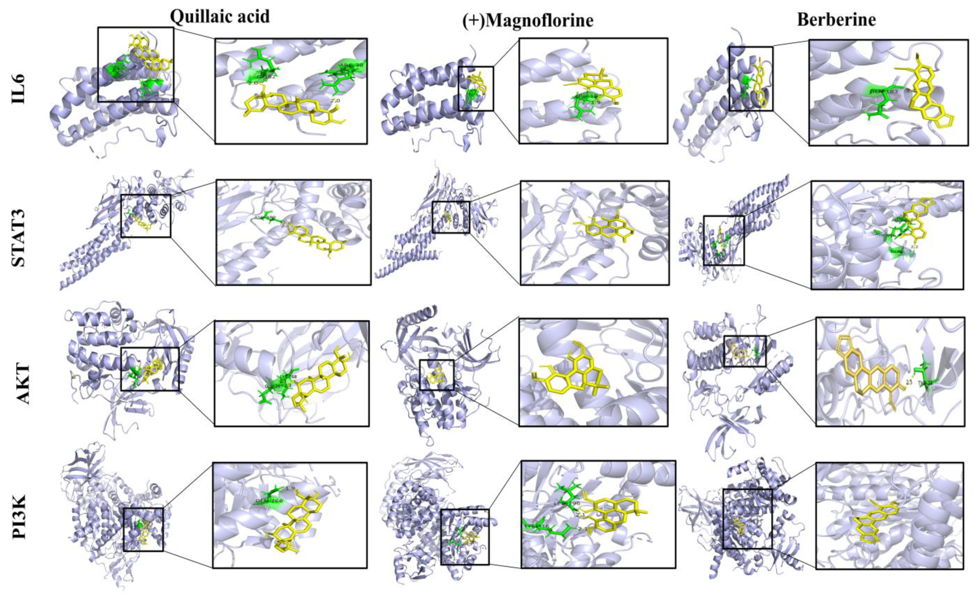 Antioxidants 13 00661 g003