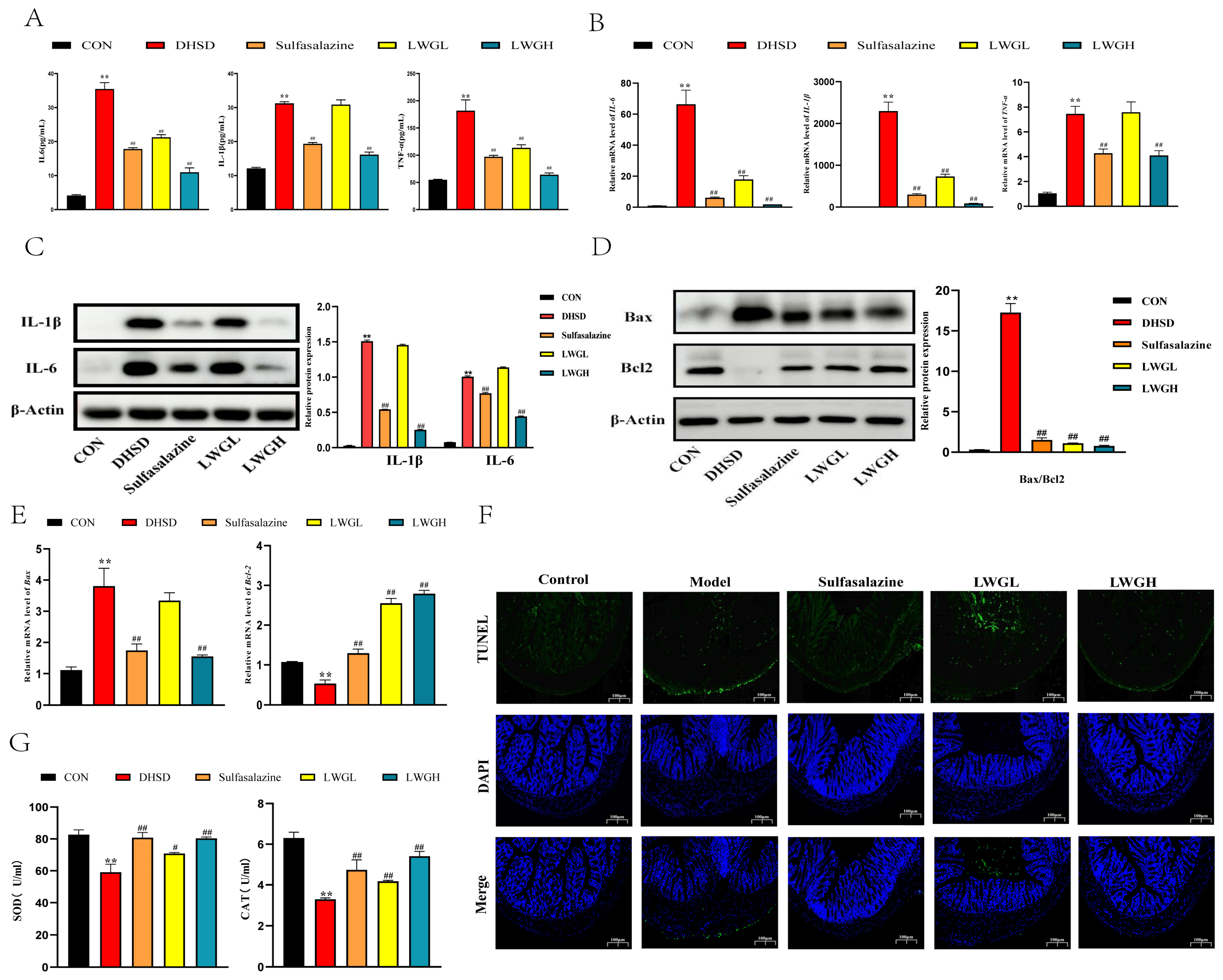 Antioxidants 13 00661 g005