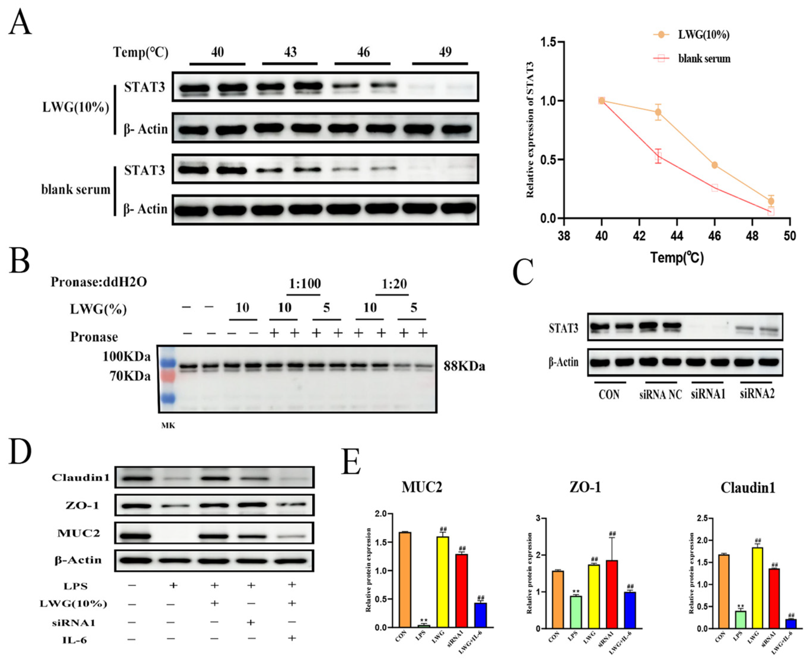 Antioxidants 13 00661 g008