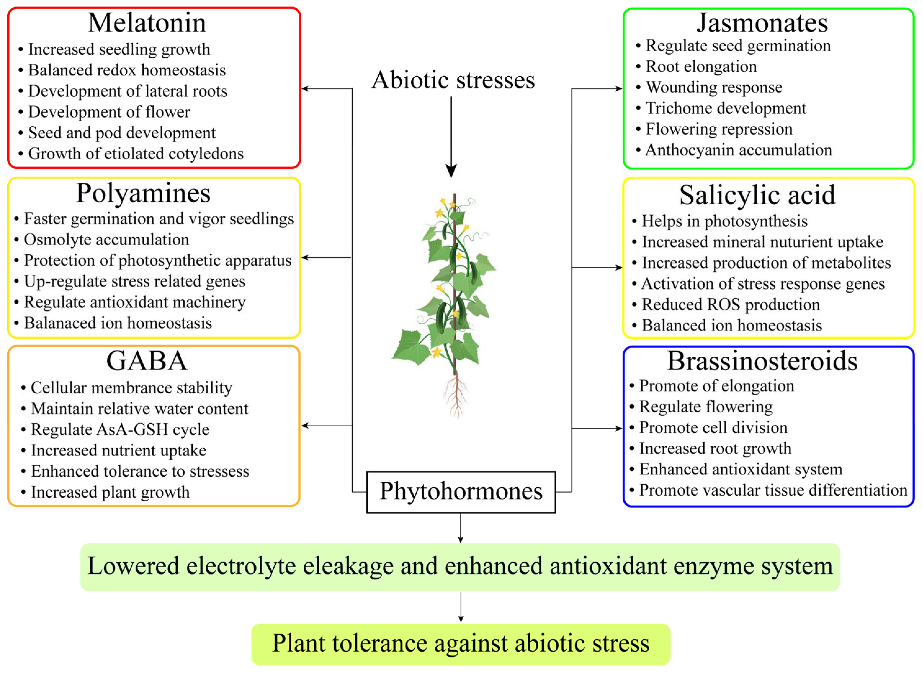 Antioxidants 13 00663 g003