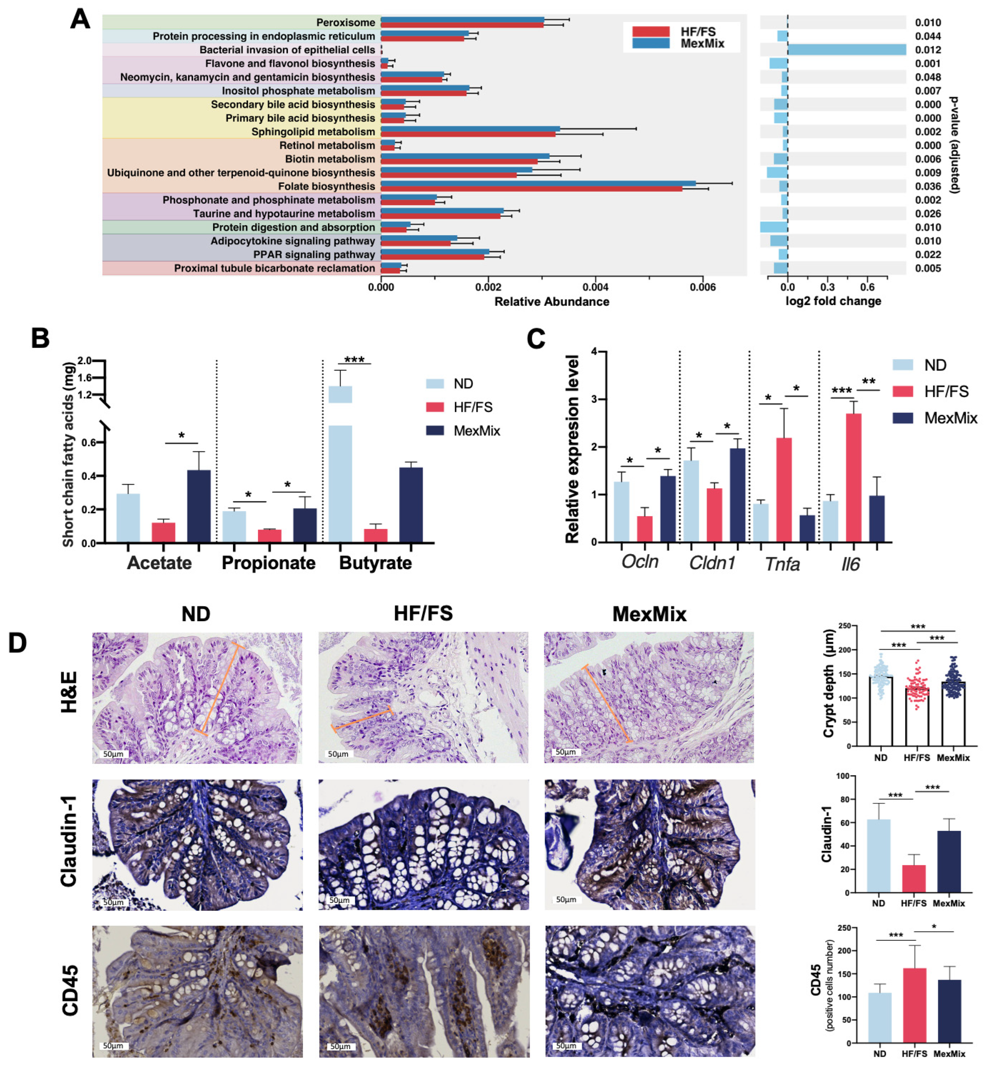 Antioxidants 13 00664 g003