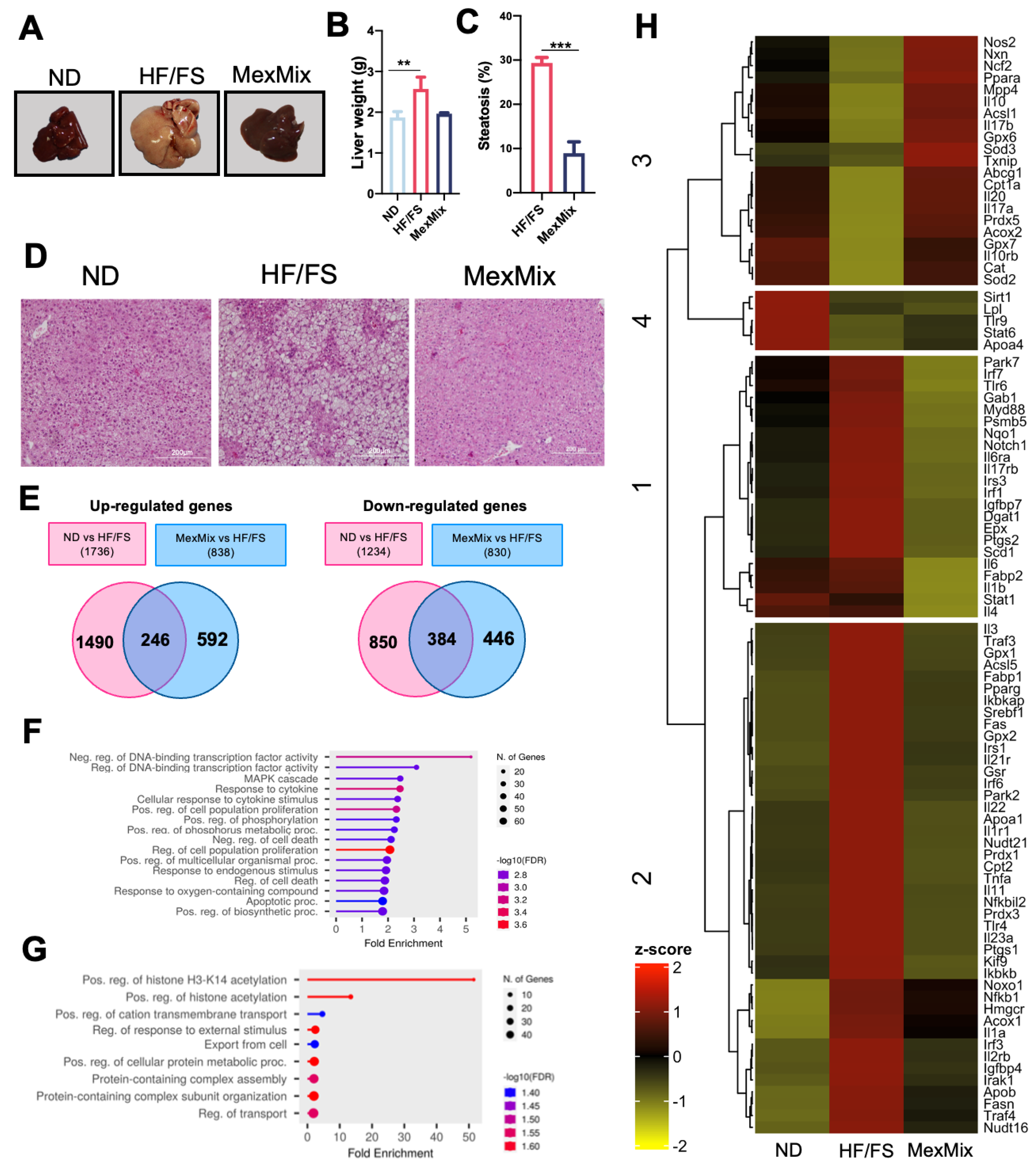 Antioxidants 13 00664 g004
