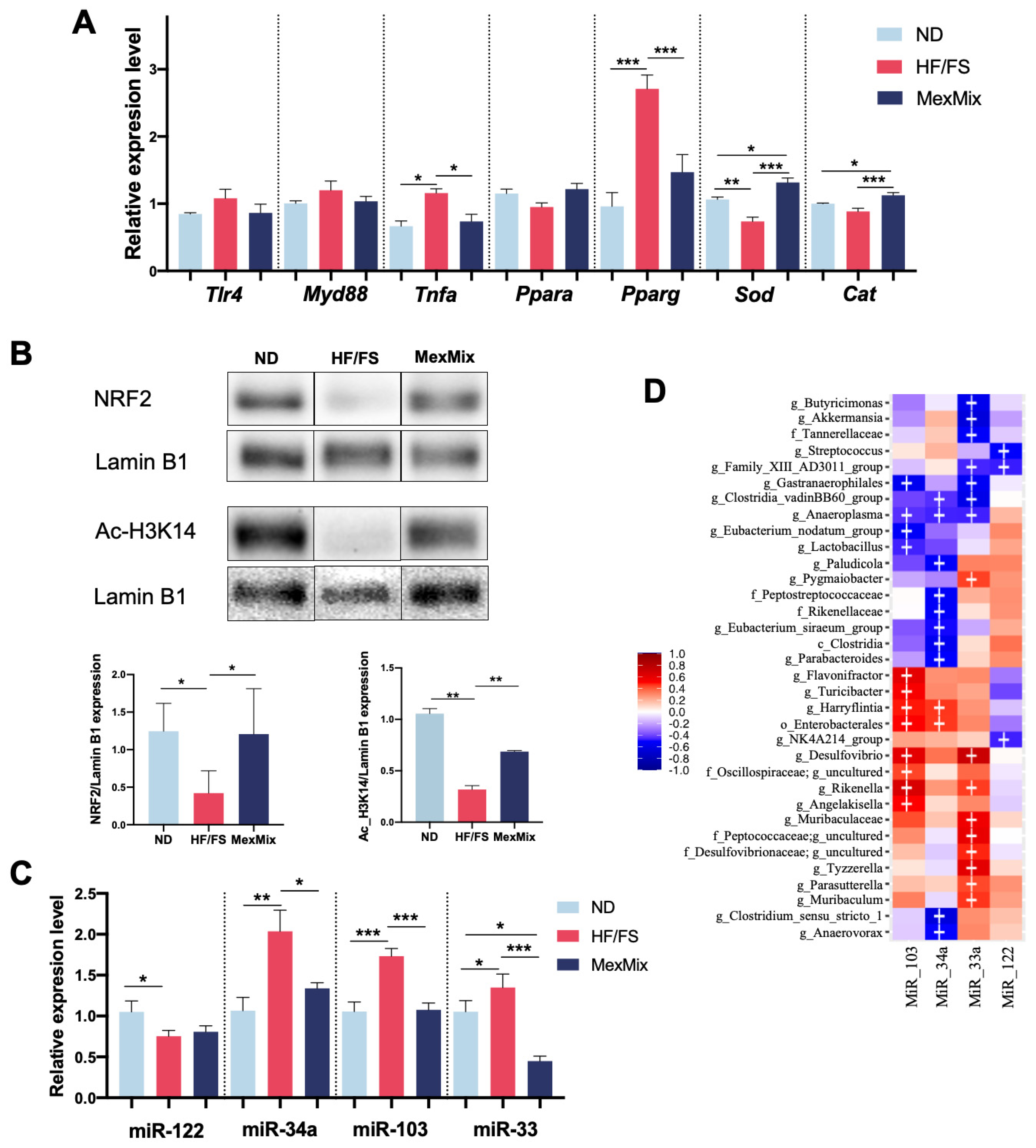Antioxidants 13 00664 g005