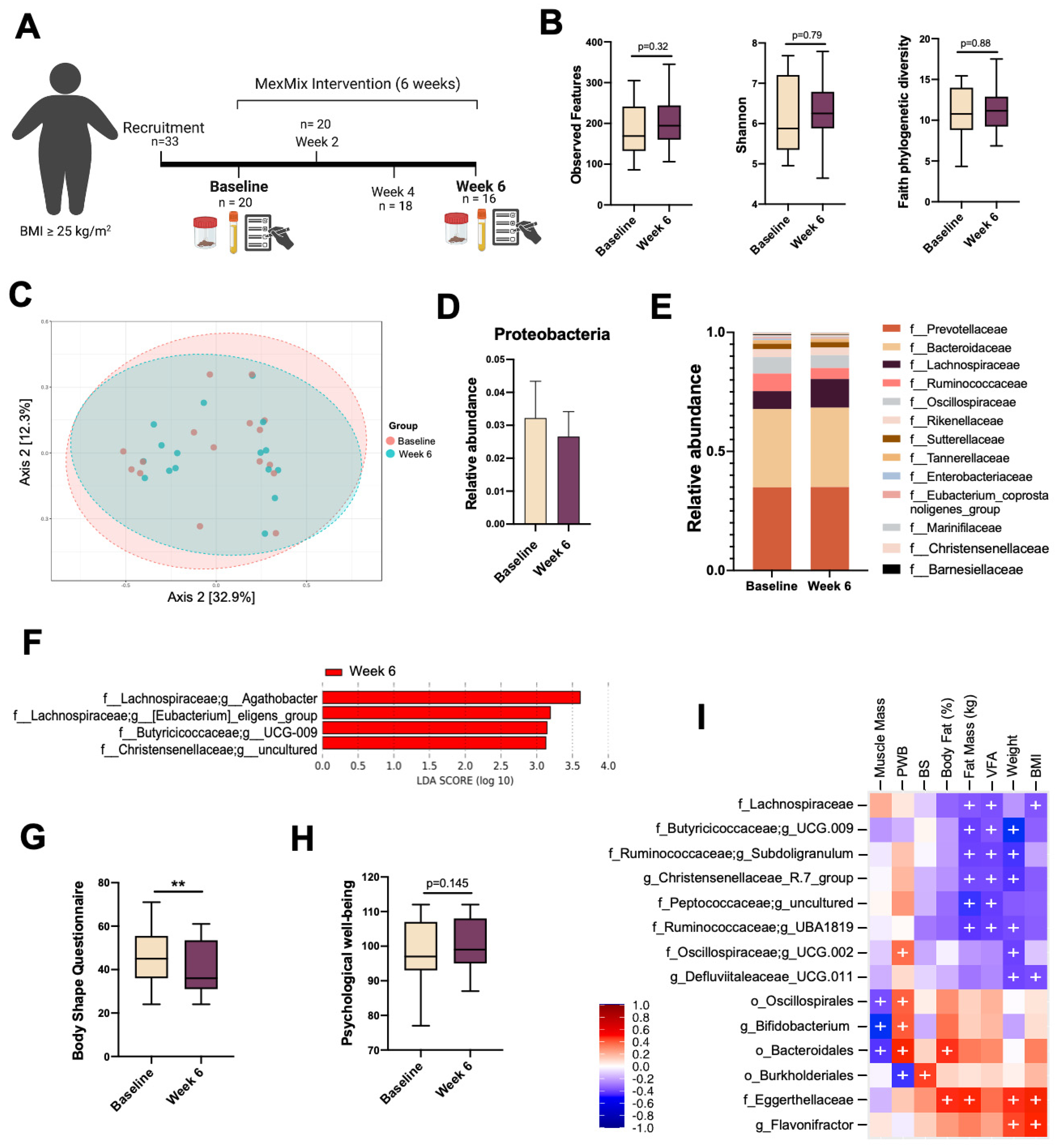 Antioxidants 13 00664 g006