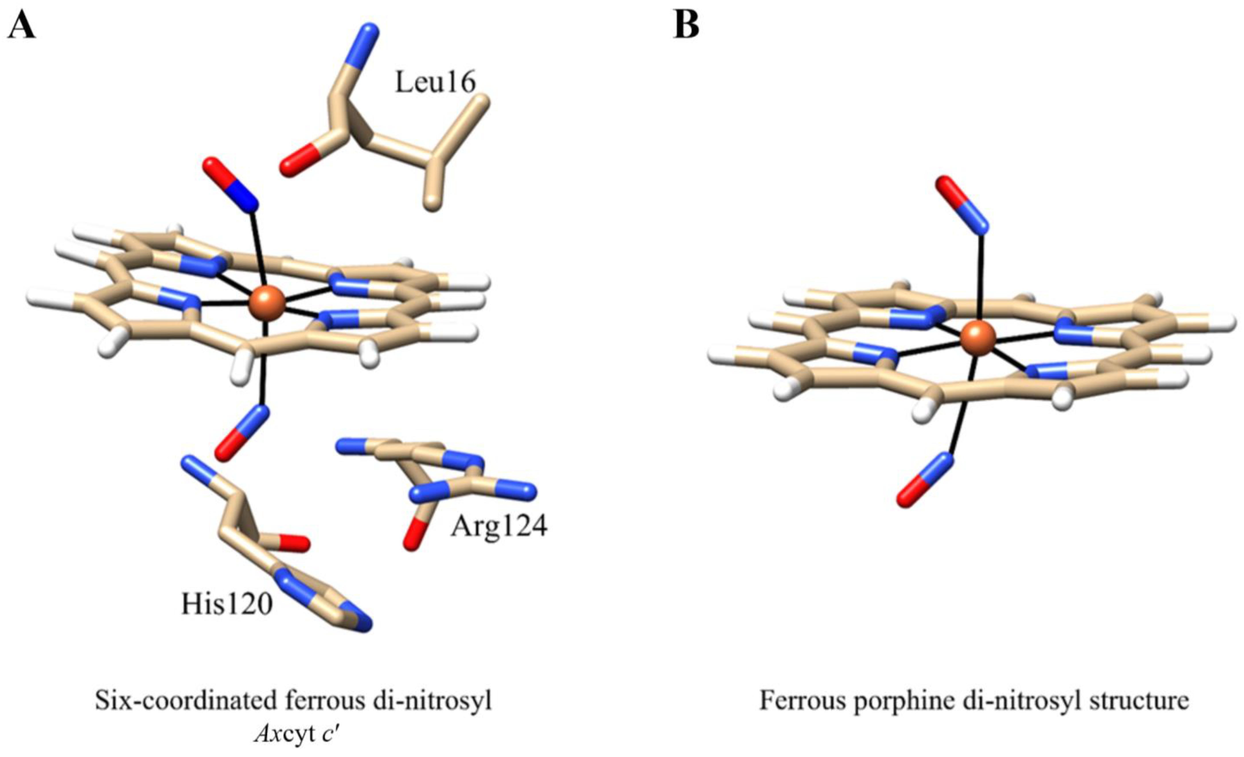 Antioxidants 13 00666 g003