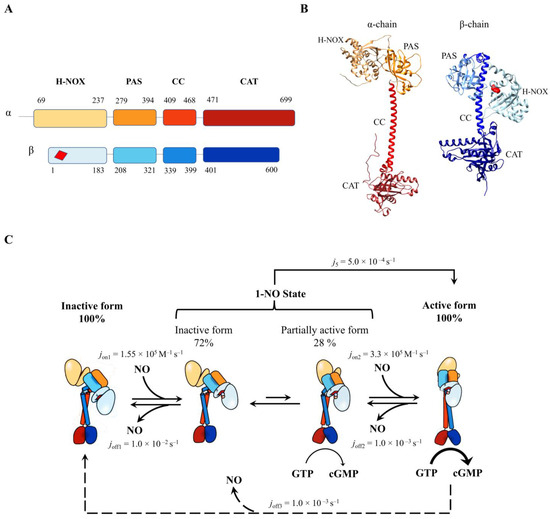 Antioxidants 13 00666 g004