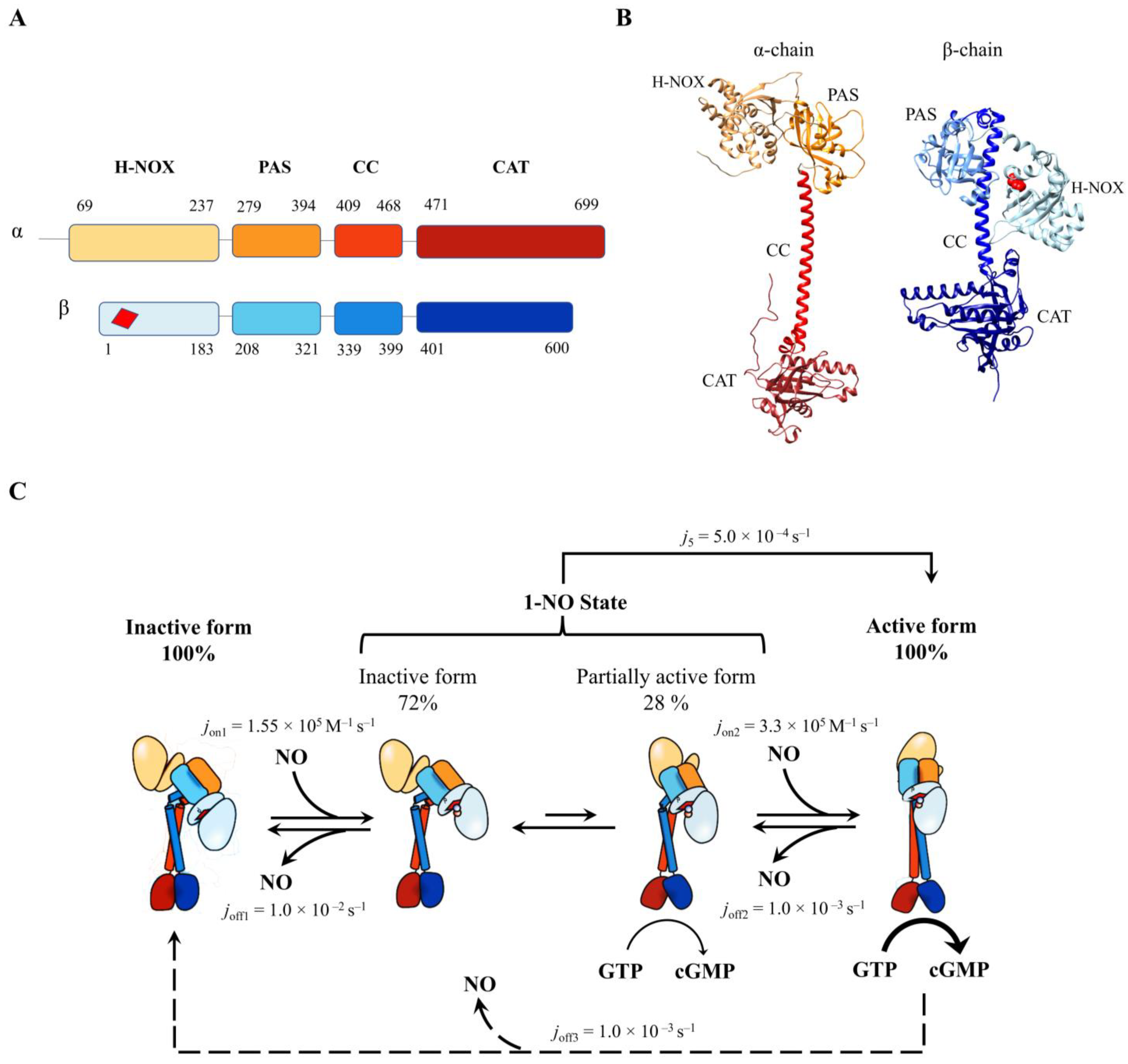 Antioxidants 13 00666 g004