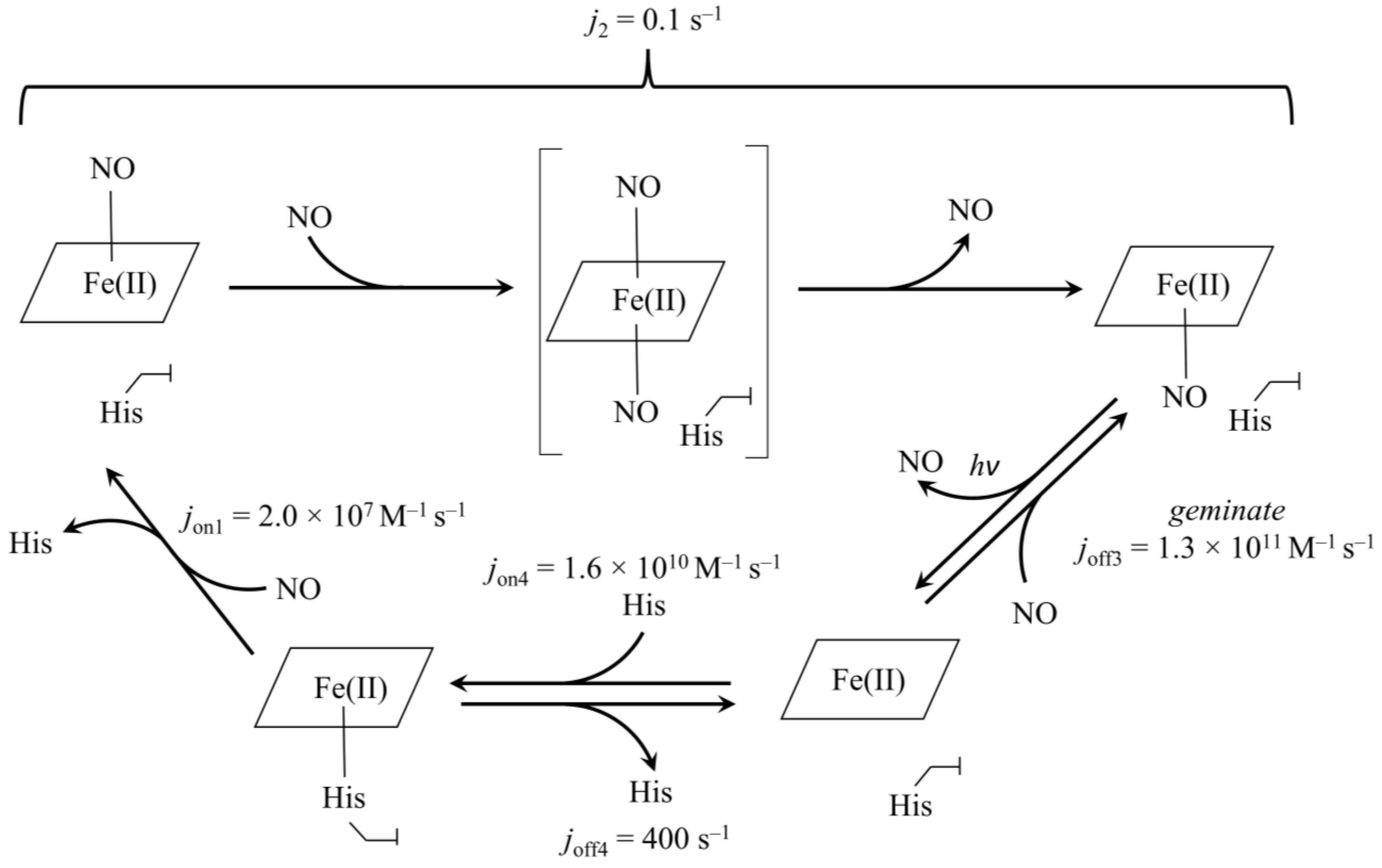 Antioxidants 13 00666 sch001
