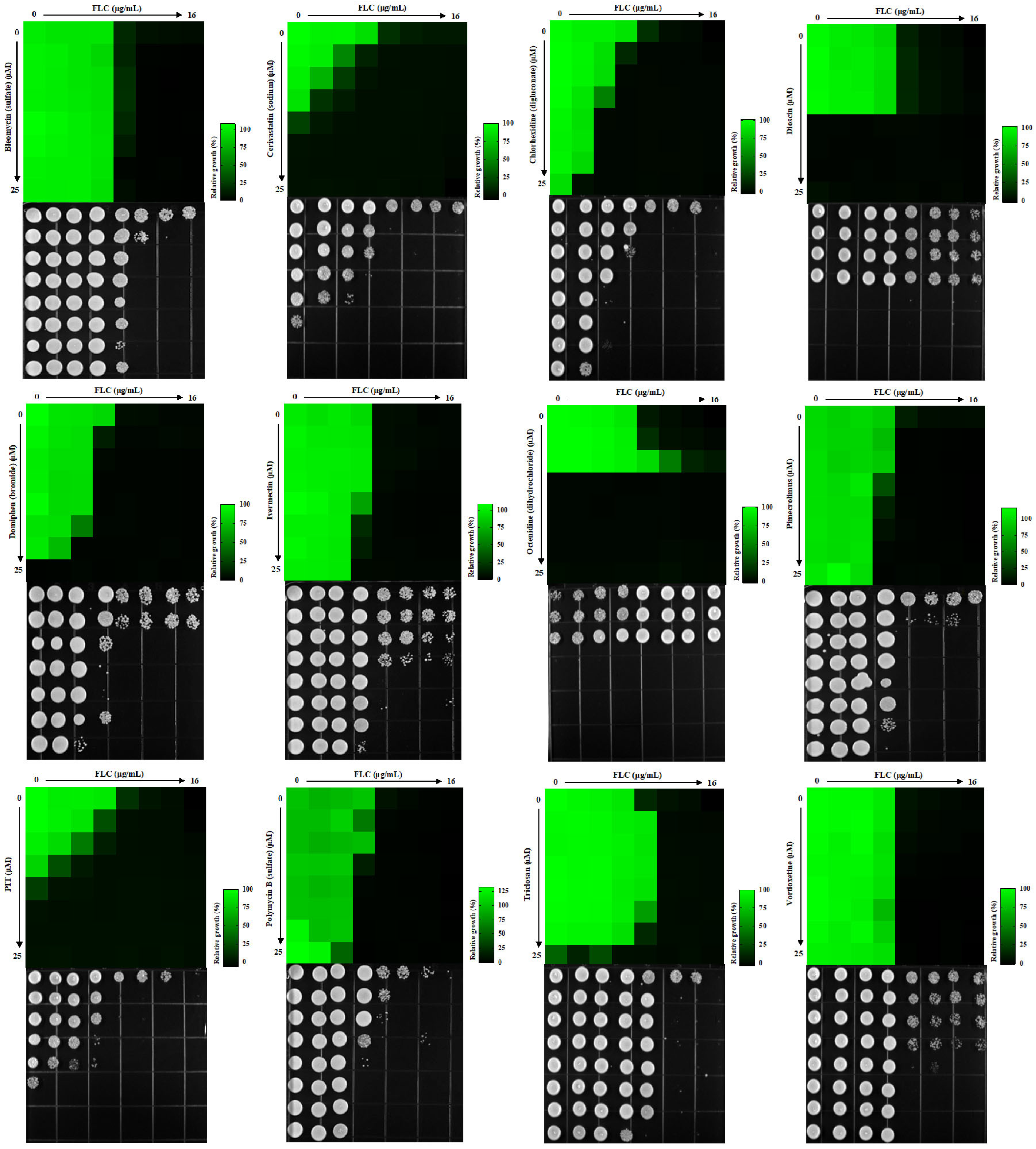 Antioxidants 13 00667 g002