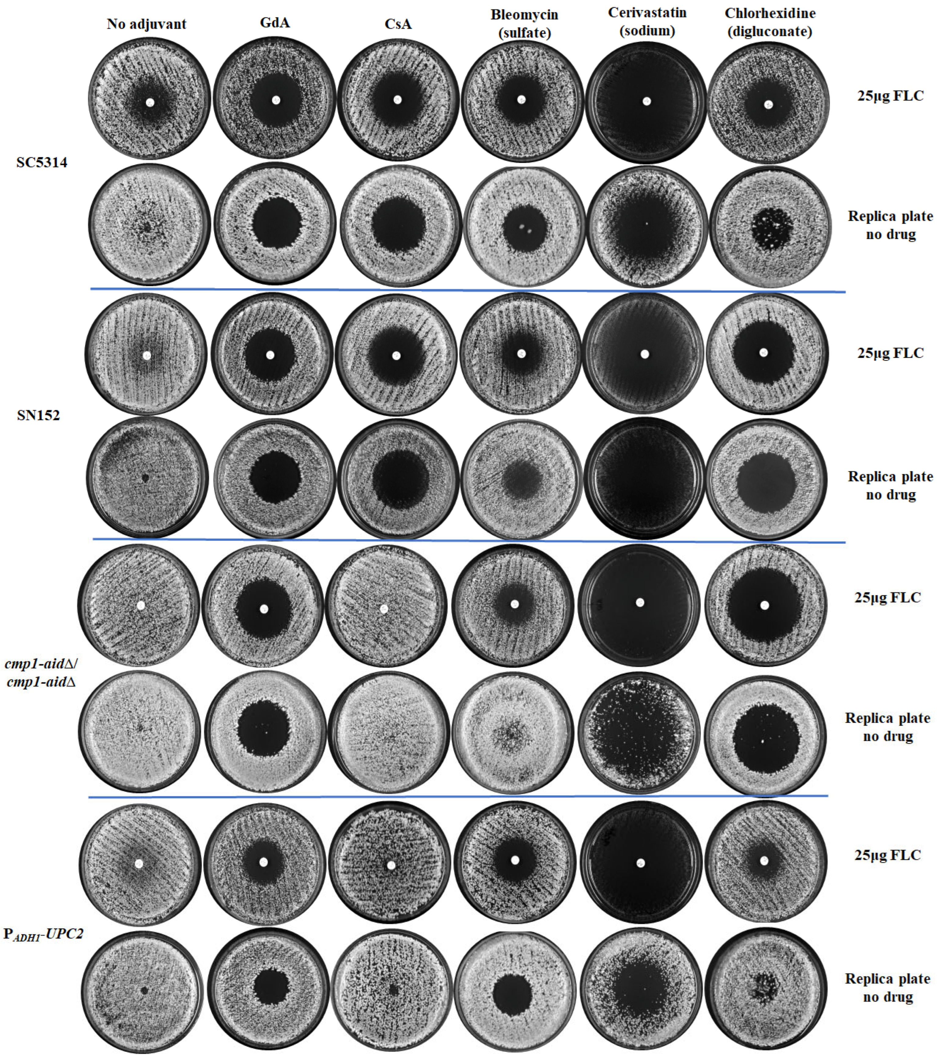 Antioxidants 13 00667 g003a
