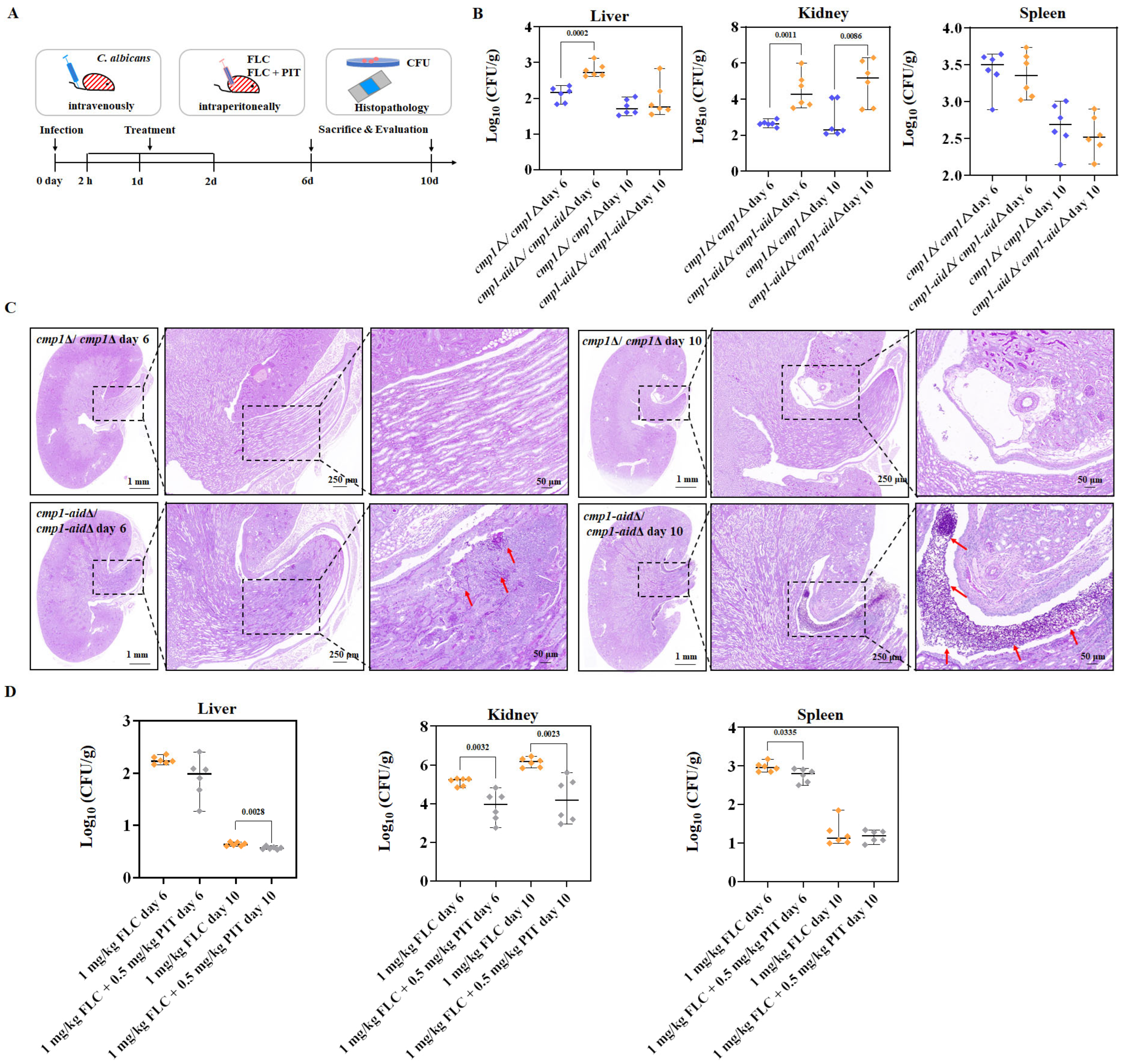 Antioxidants 13 00667 g009