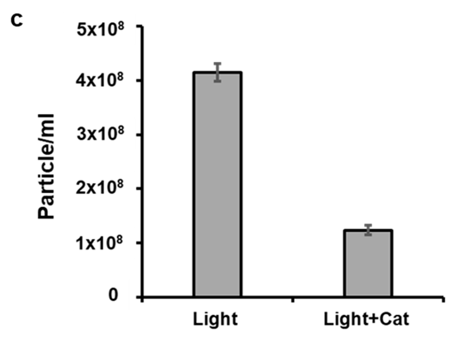 Antioxidants 13 00668 g002b