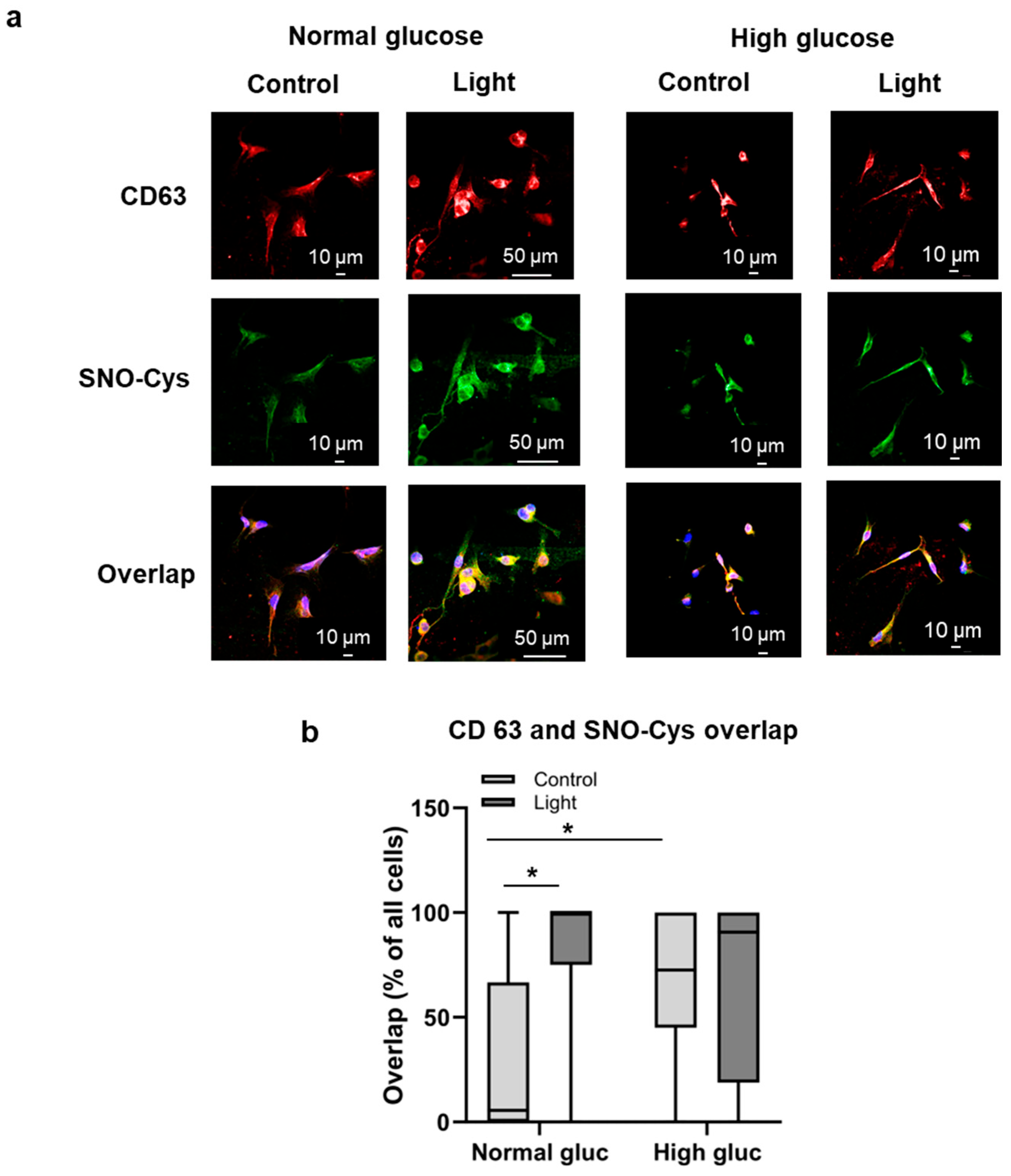 Antioxidants 13 00668 g005