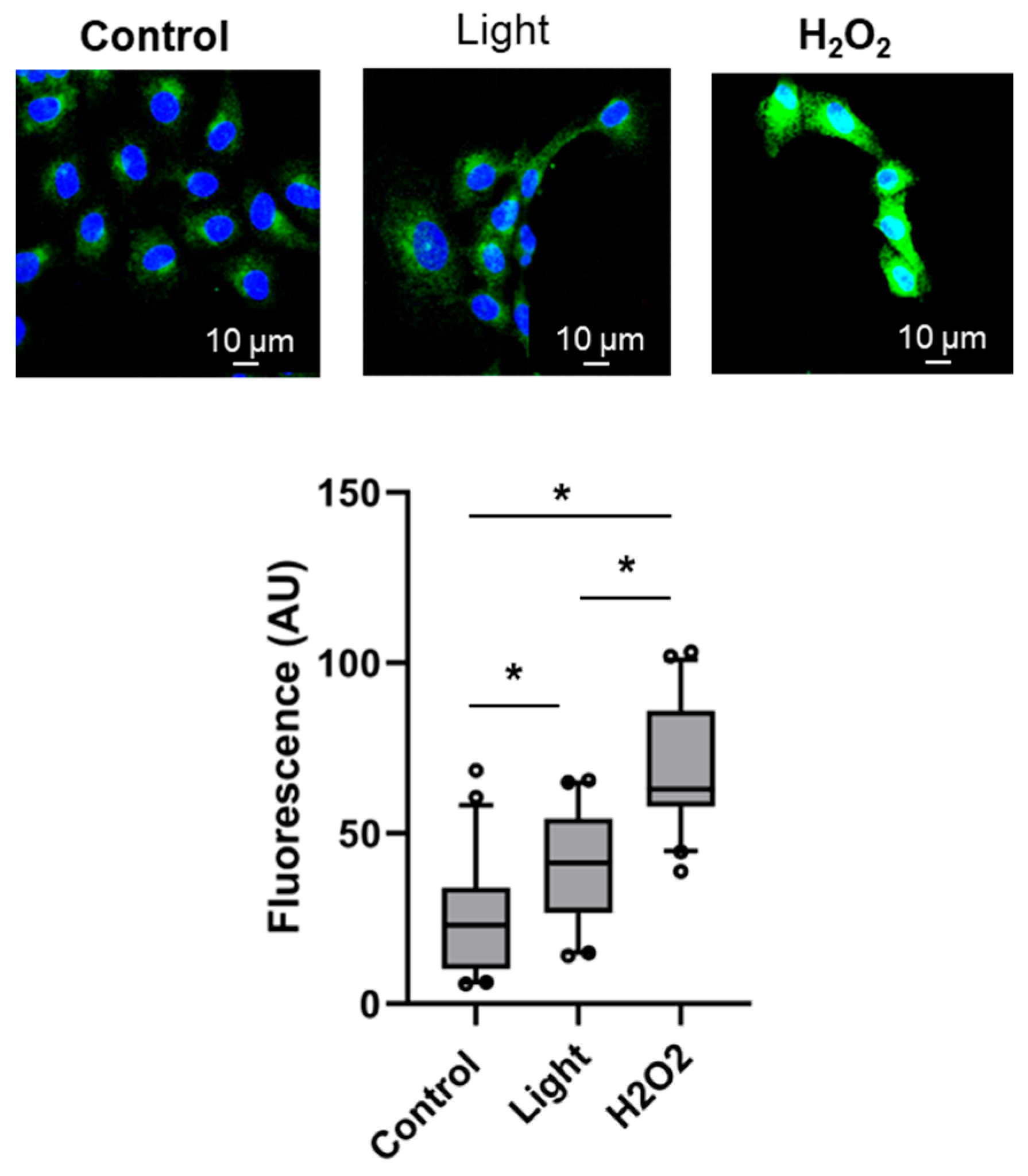 Antioxidants 13 00668 g006