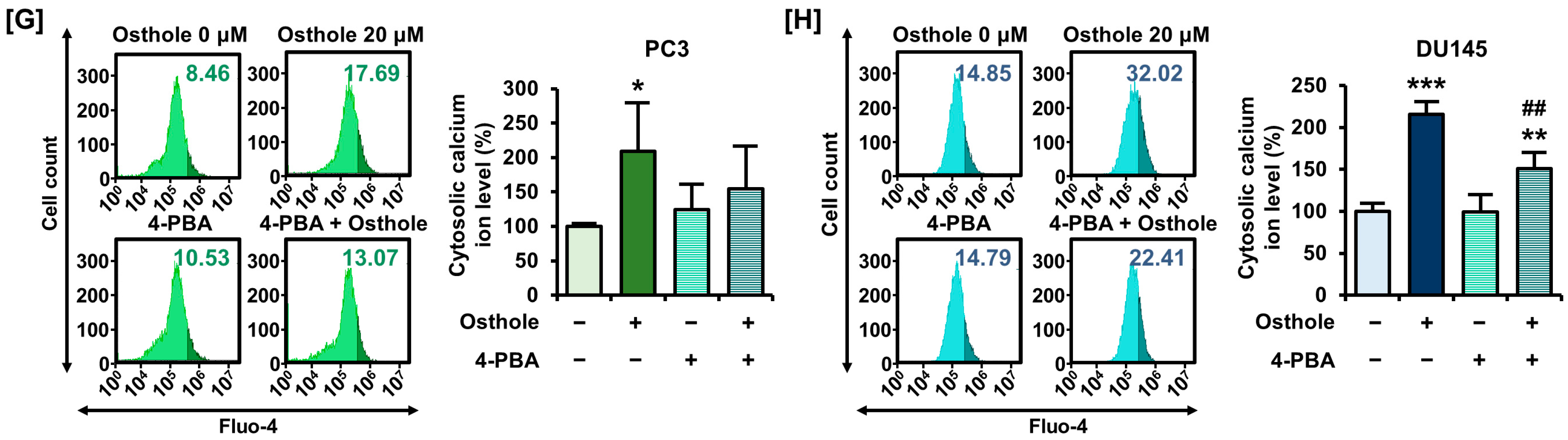 Antioxidants 13 00669 g004b
