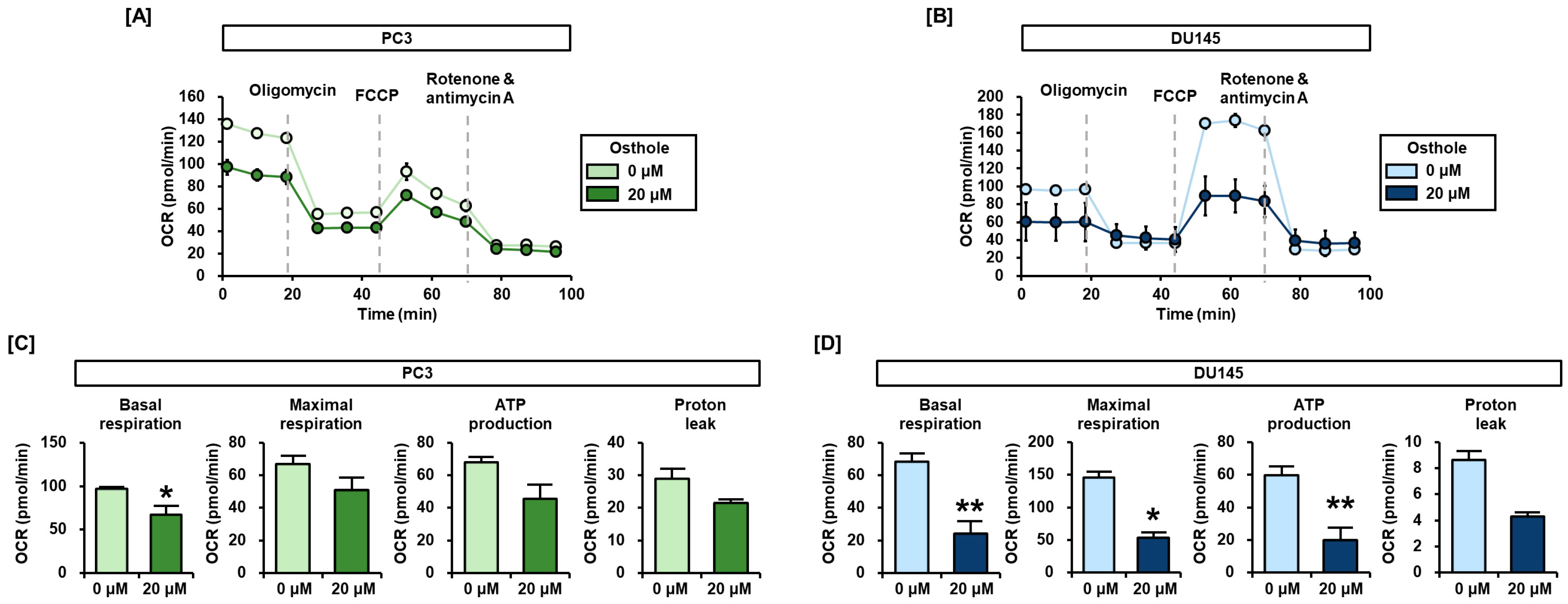 Antioxidants 13 00669 g005