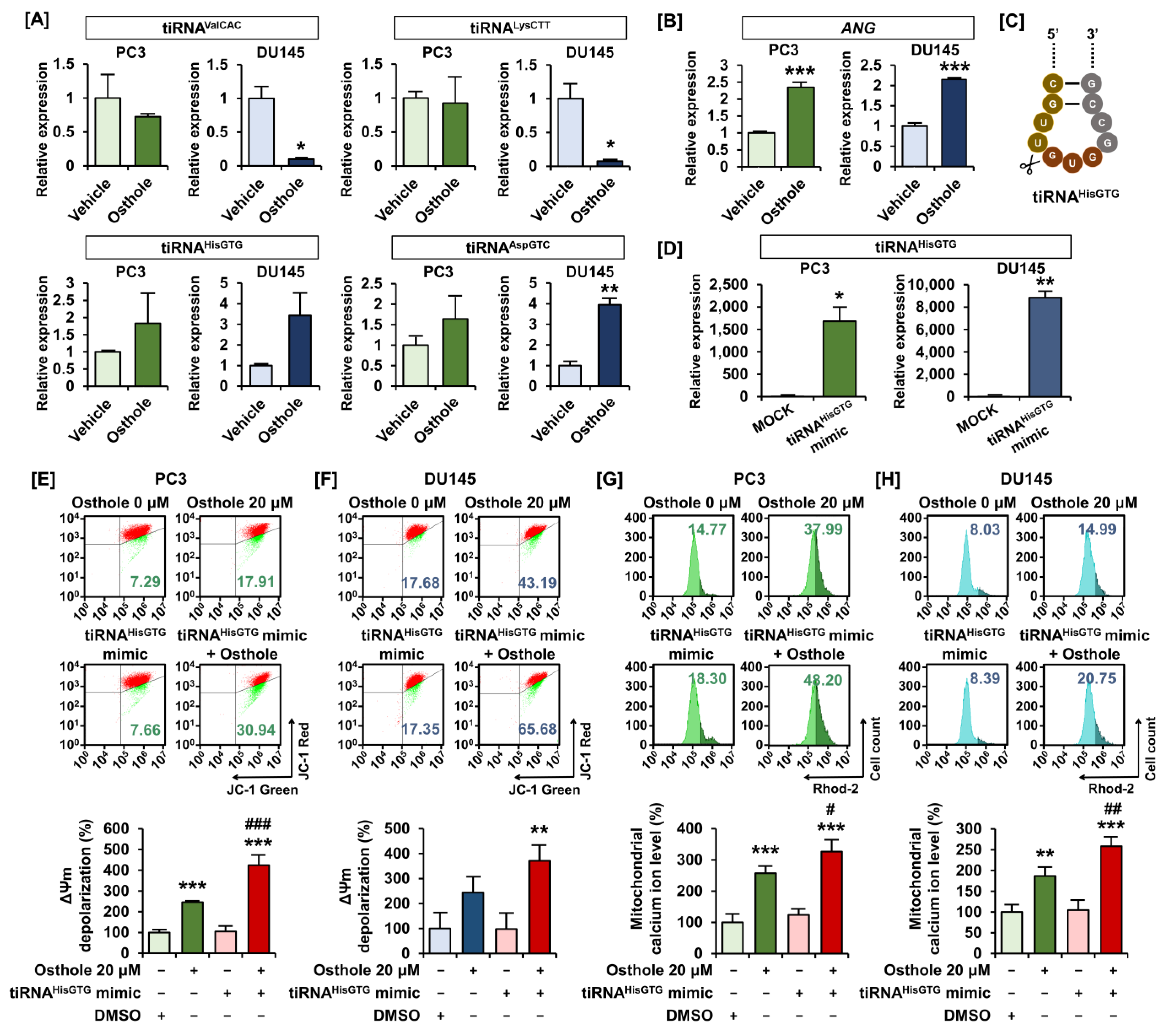 Antioxidants 13 00669 g006