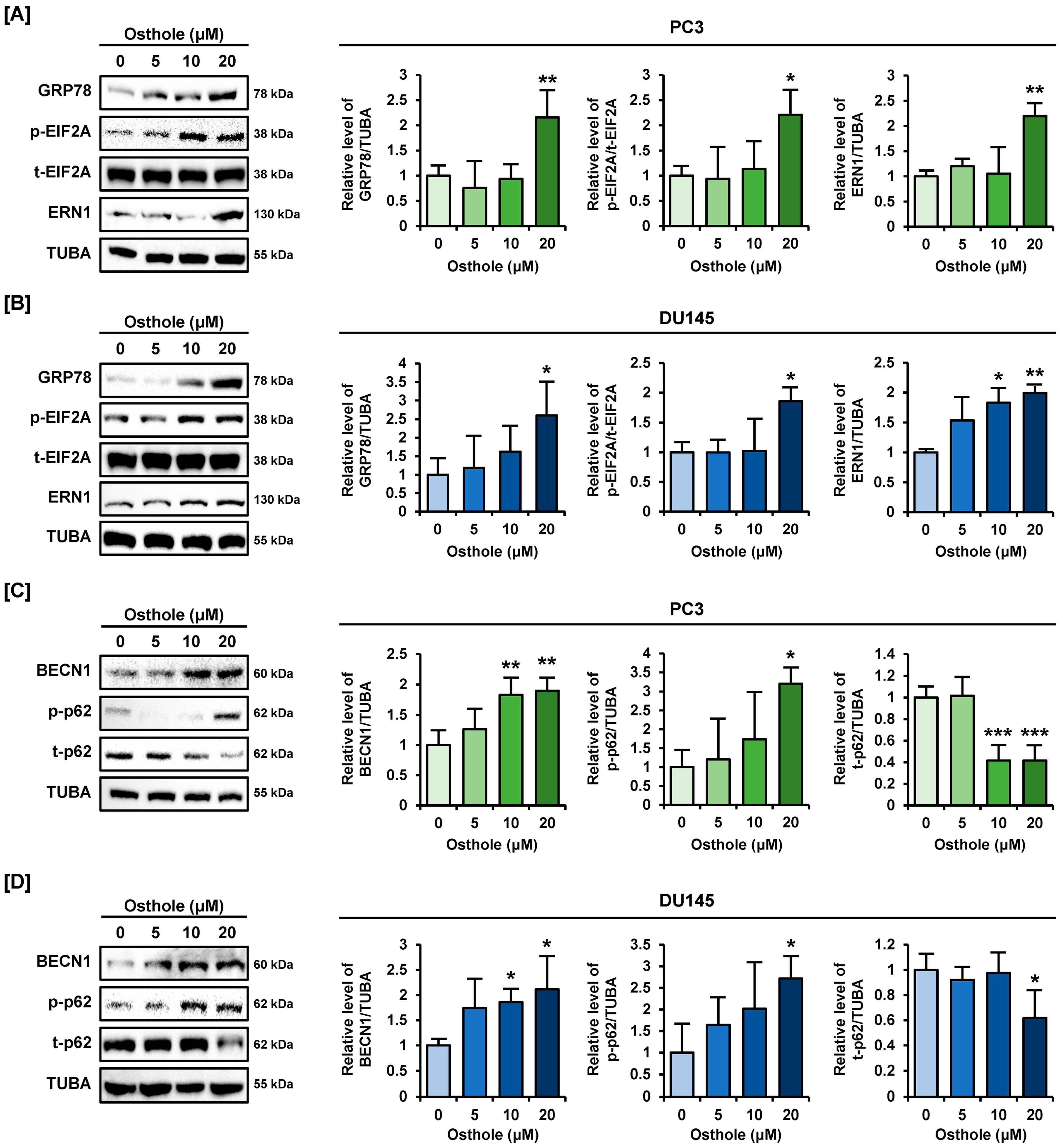 Antioxidants 13 00669 g008