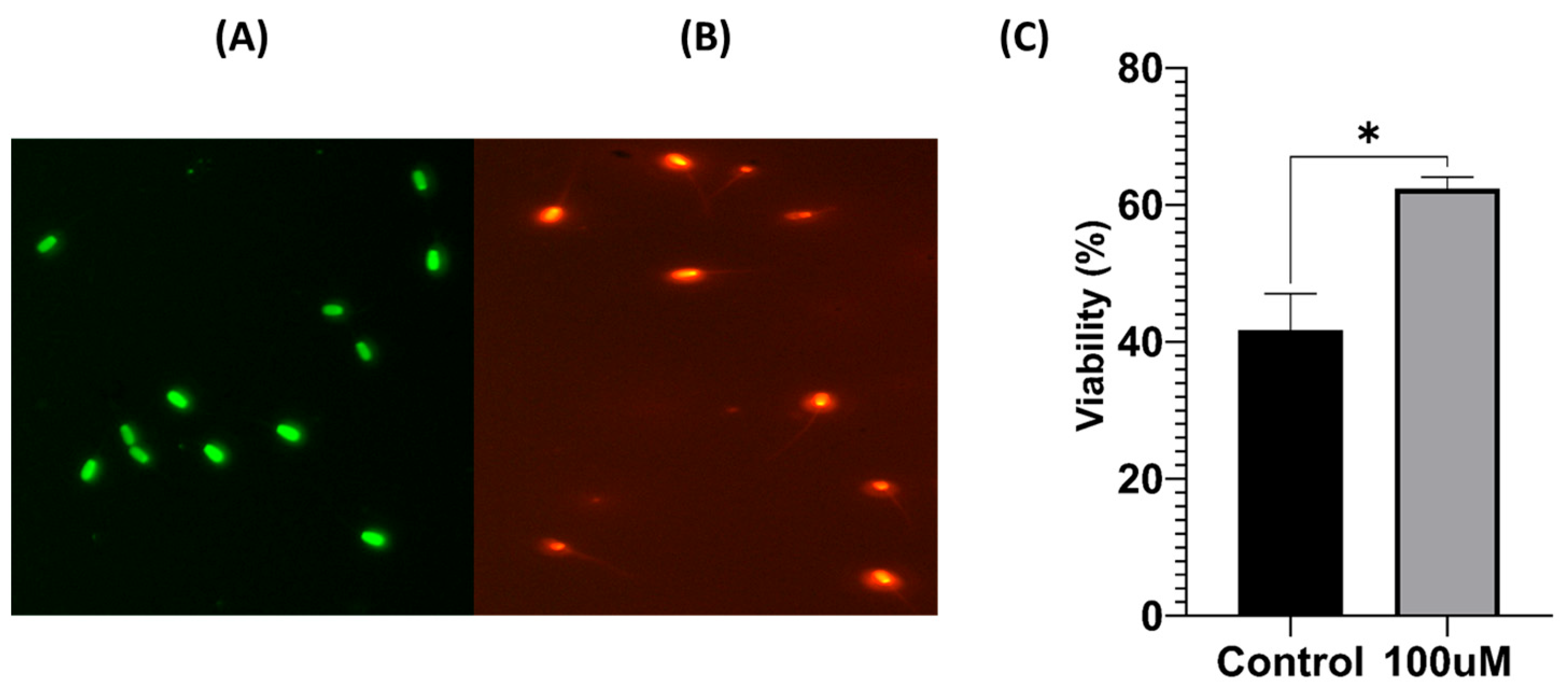 Antioxidants 13 00672 g002