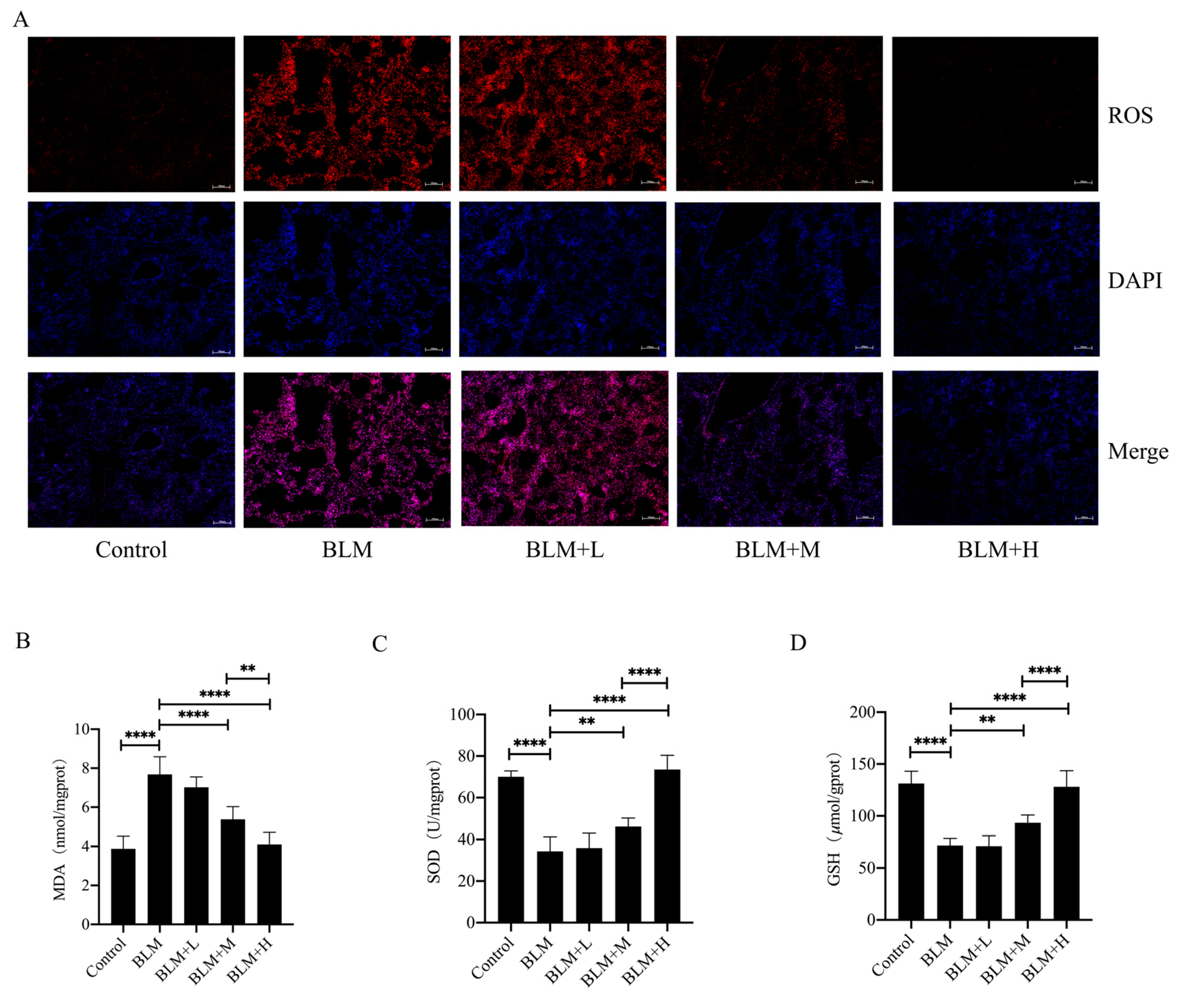 Antioxidants 13 00675 g002