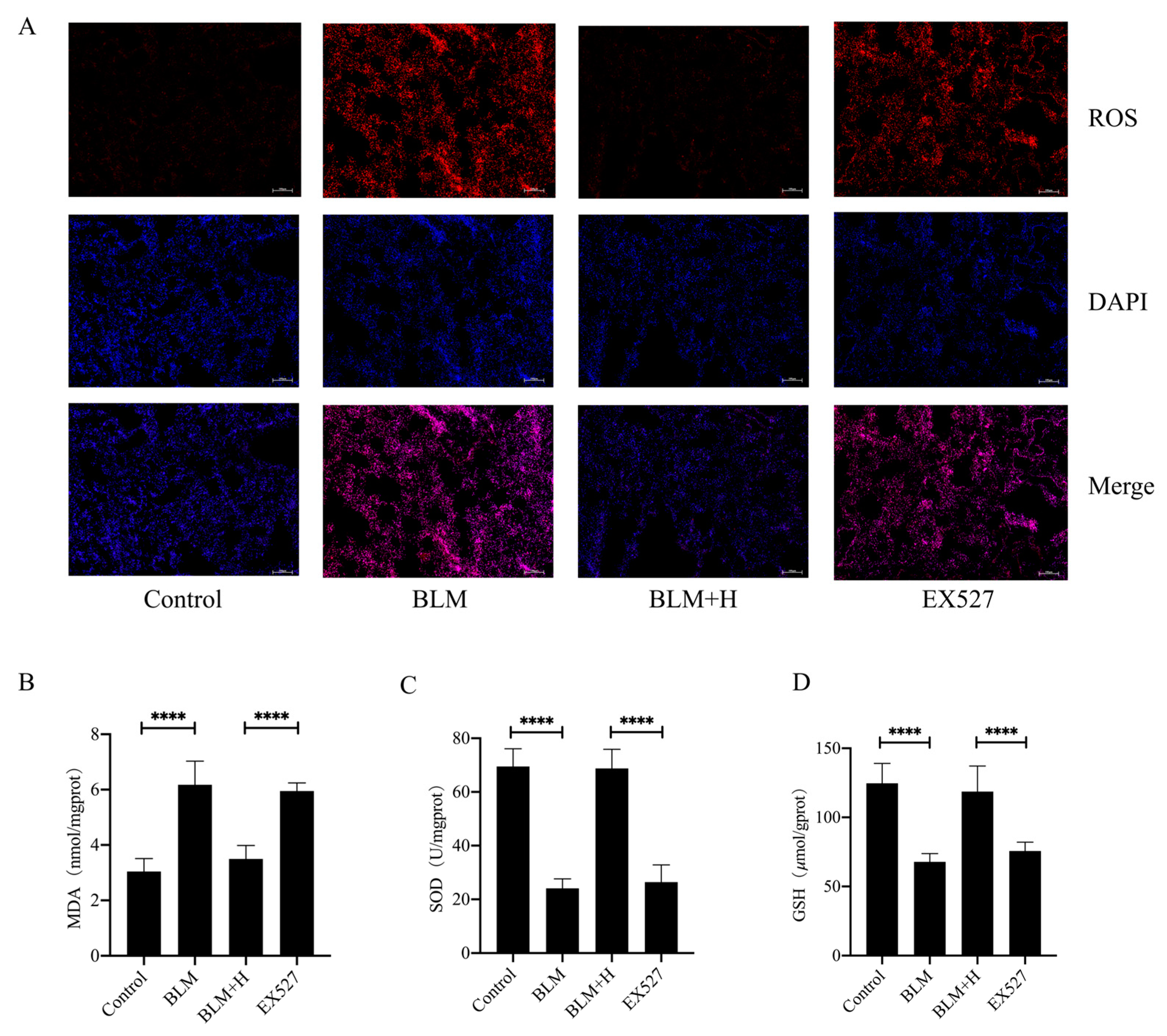 Antioxidants 13 00675 g007