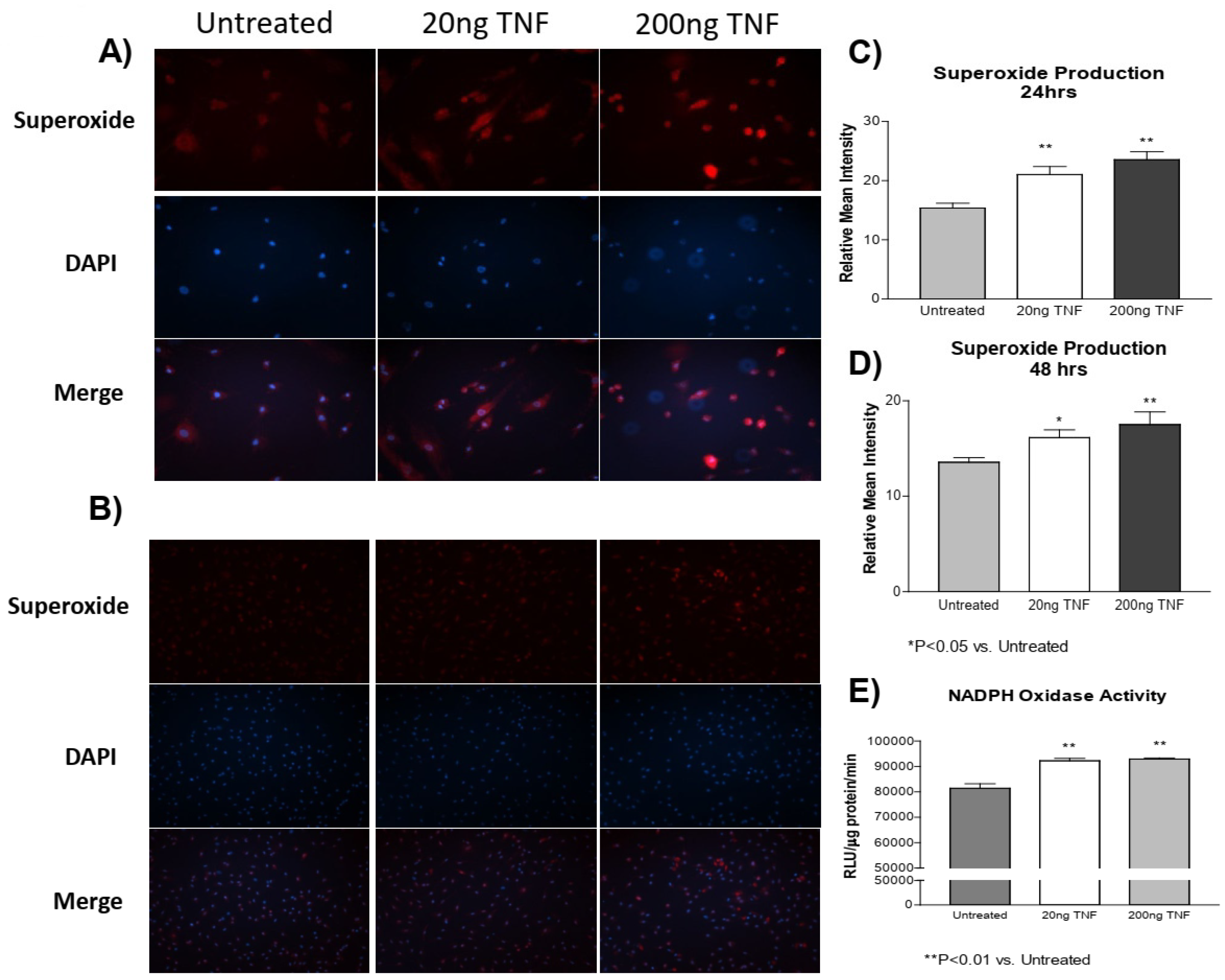 Antioxidants 13 00677 g001