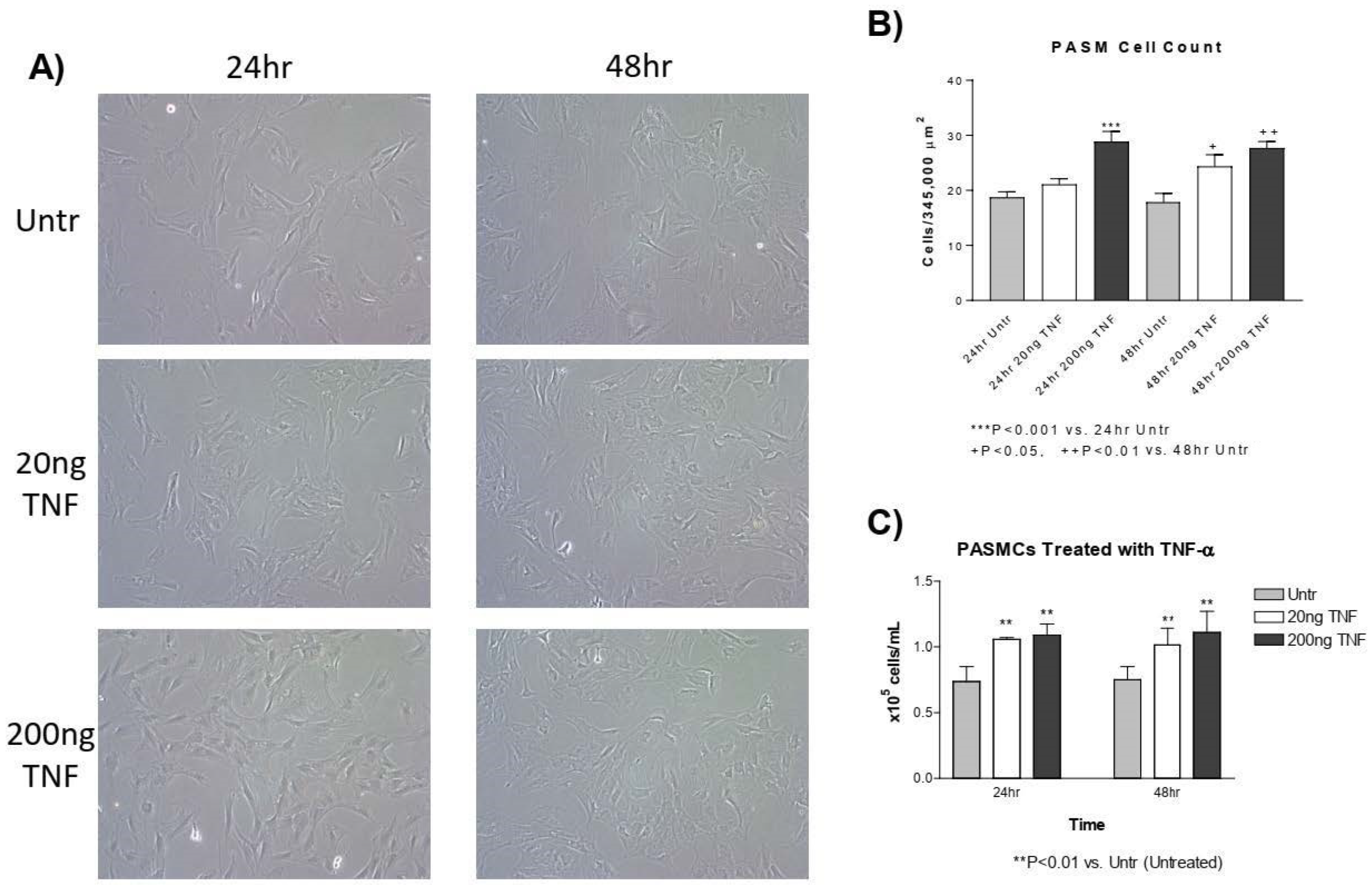 Antioxidants 13 00677 g002