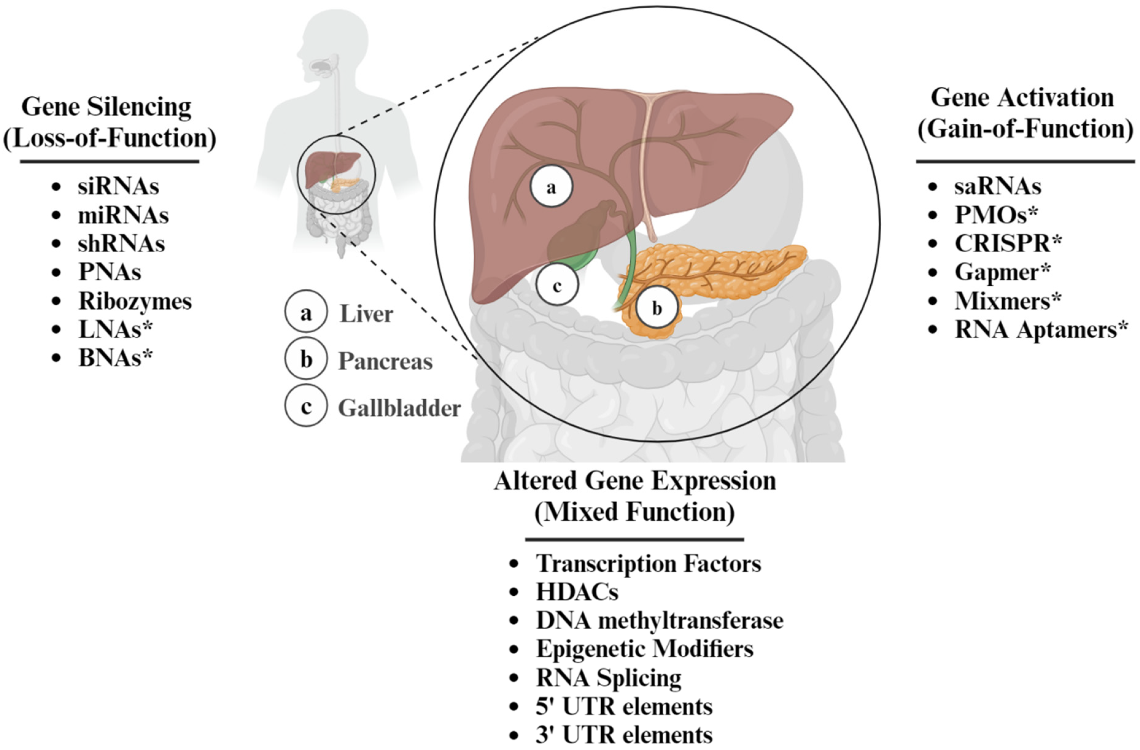 Antioxidants 13 00678 g001