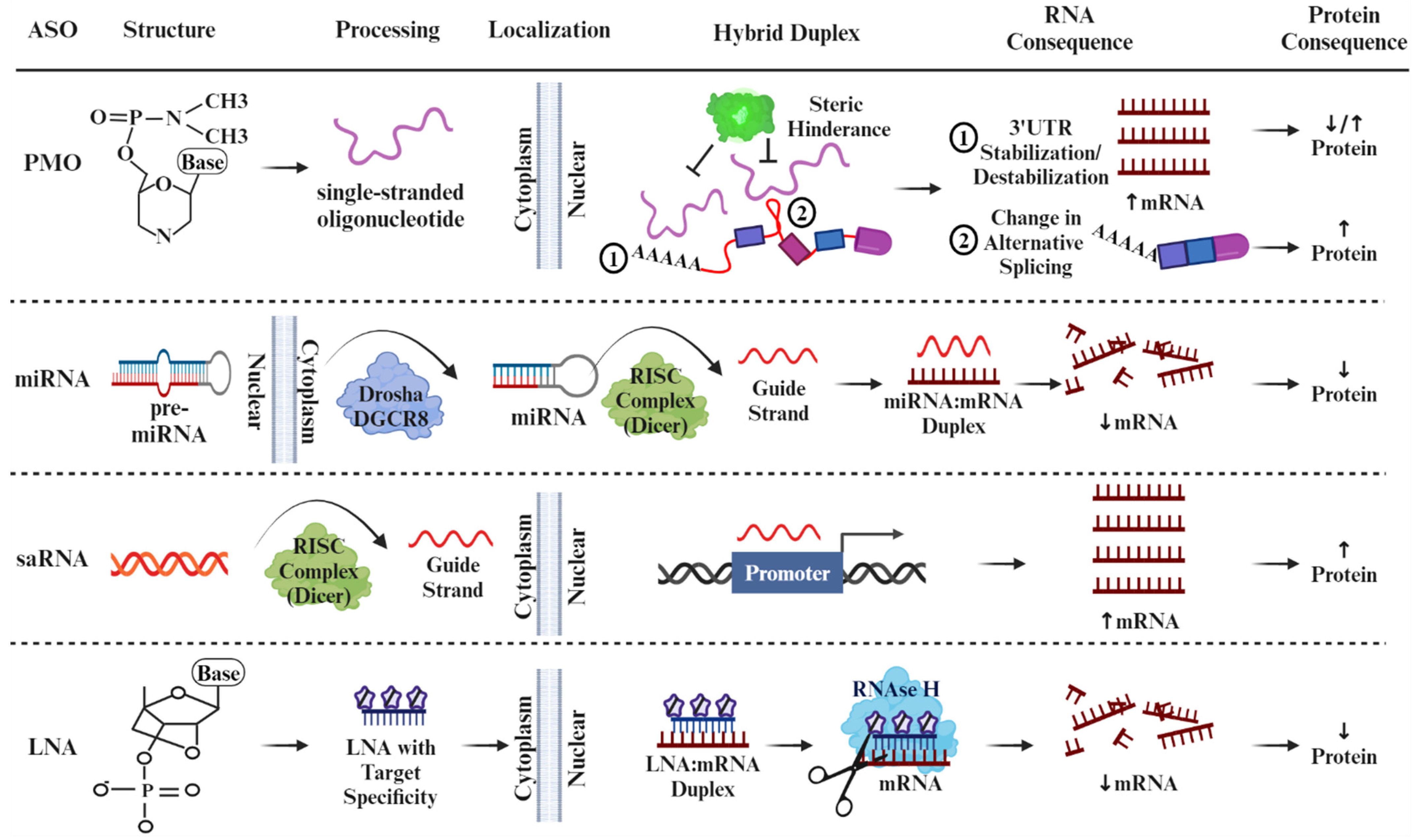 Antioxidants 13 00678 g002