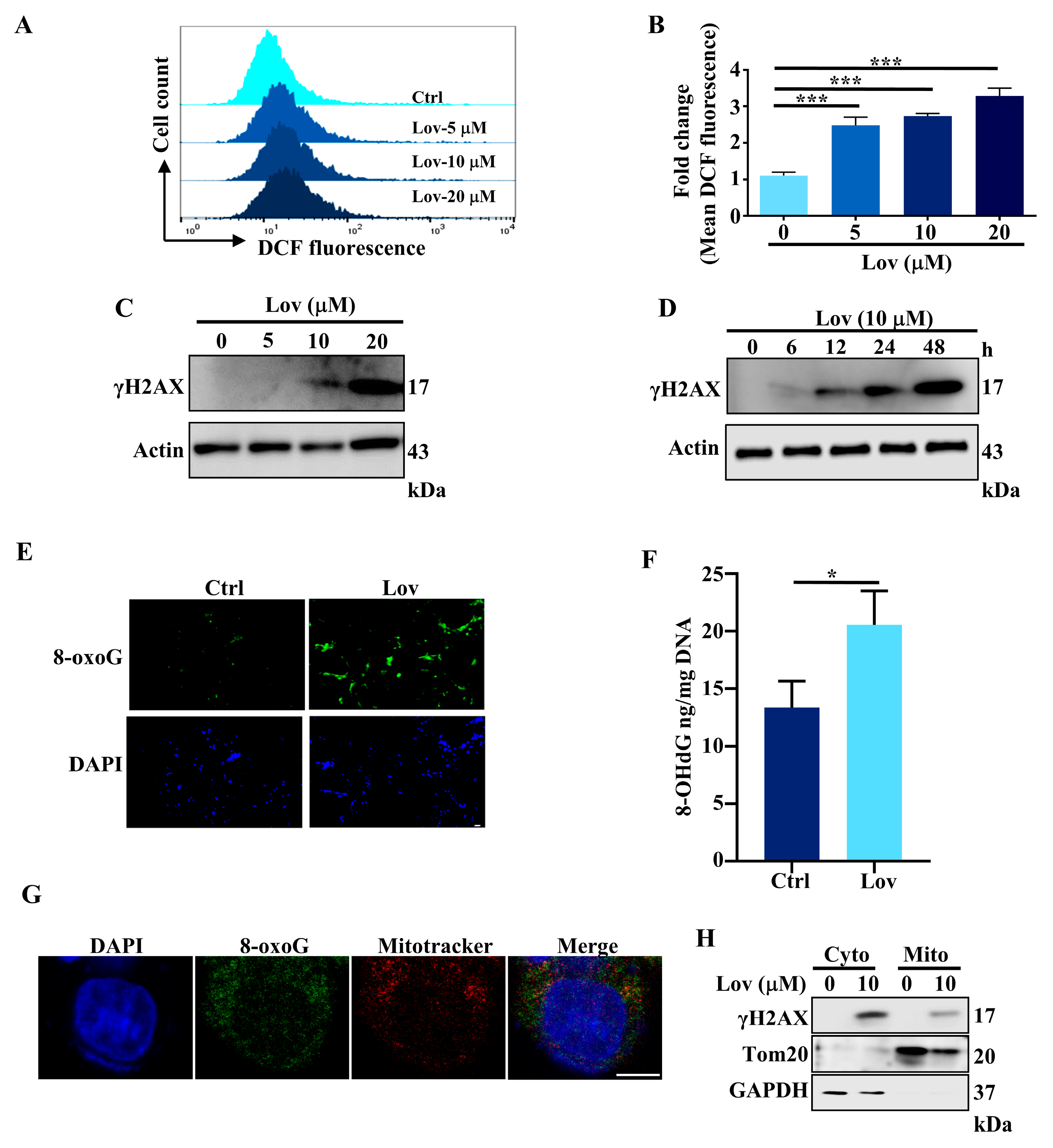Antioxidants 13 00679 g002