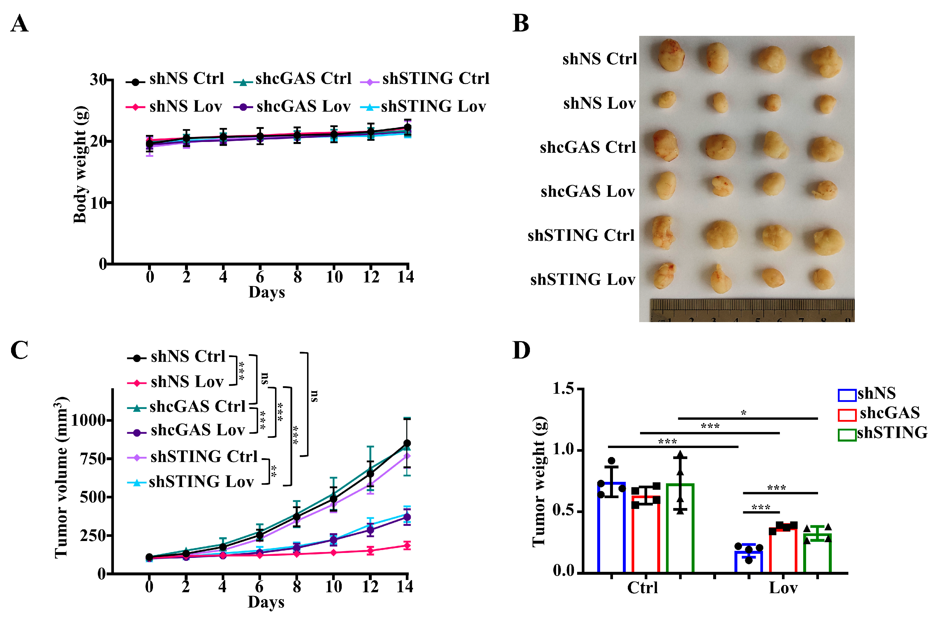 Antioxidants 13 00679 g008