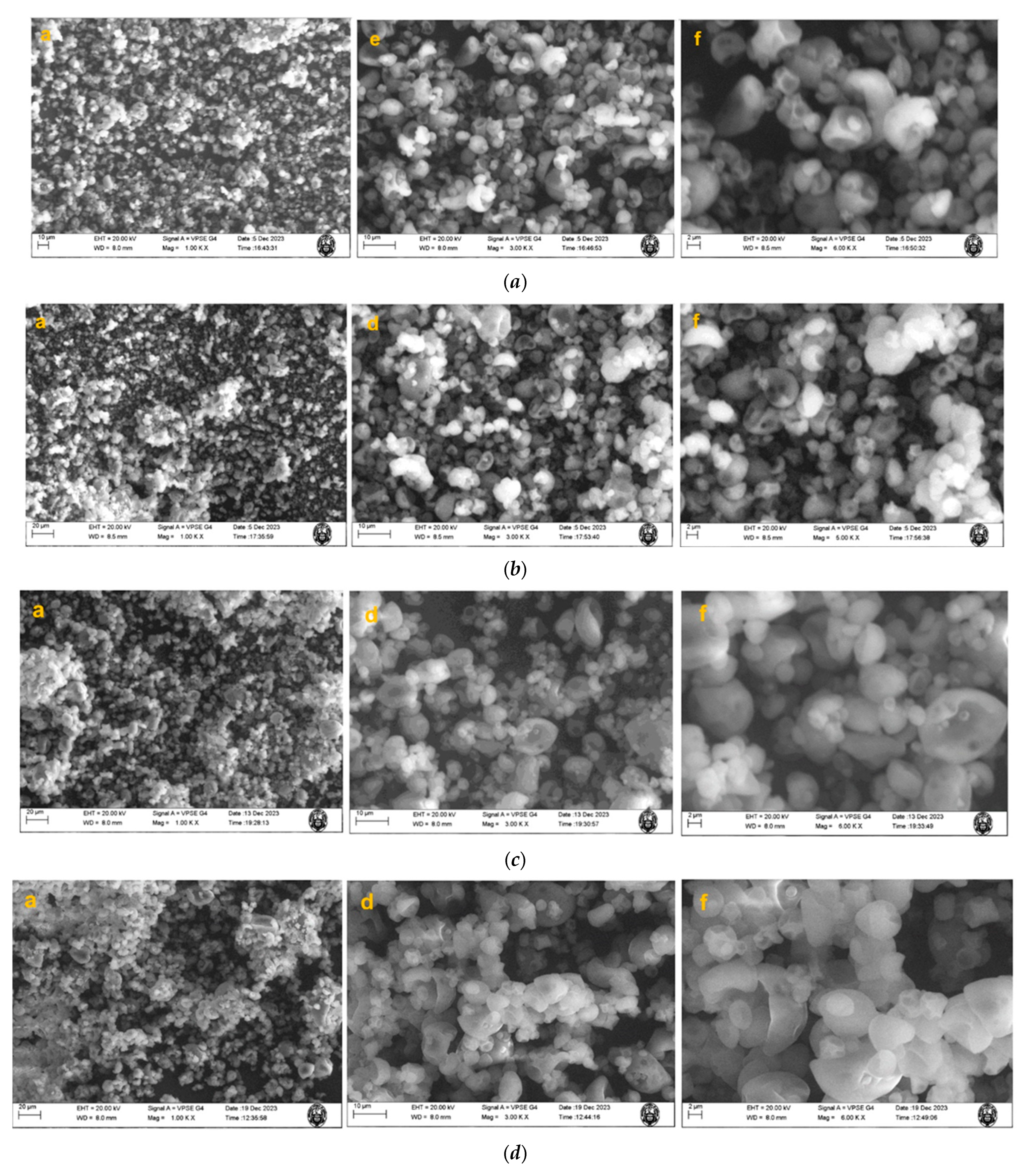 Antioxidants 13 00680 g002