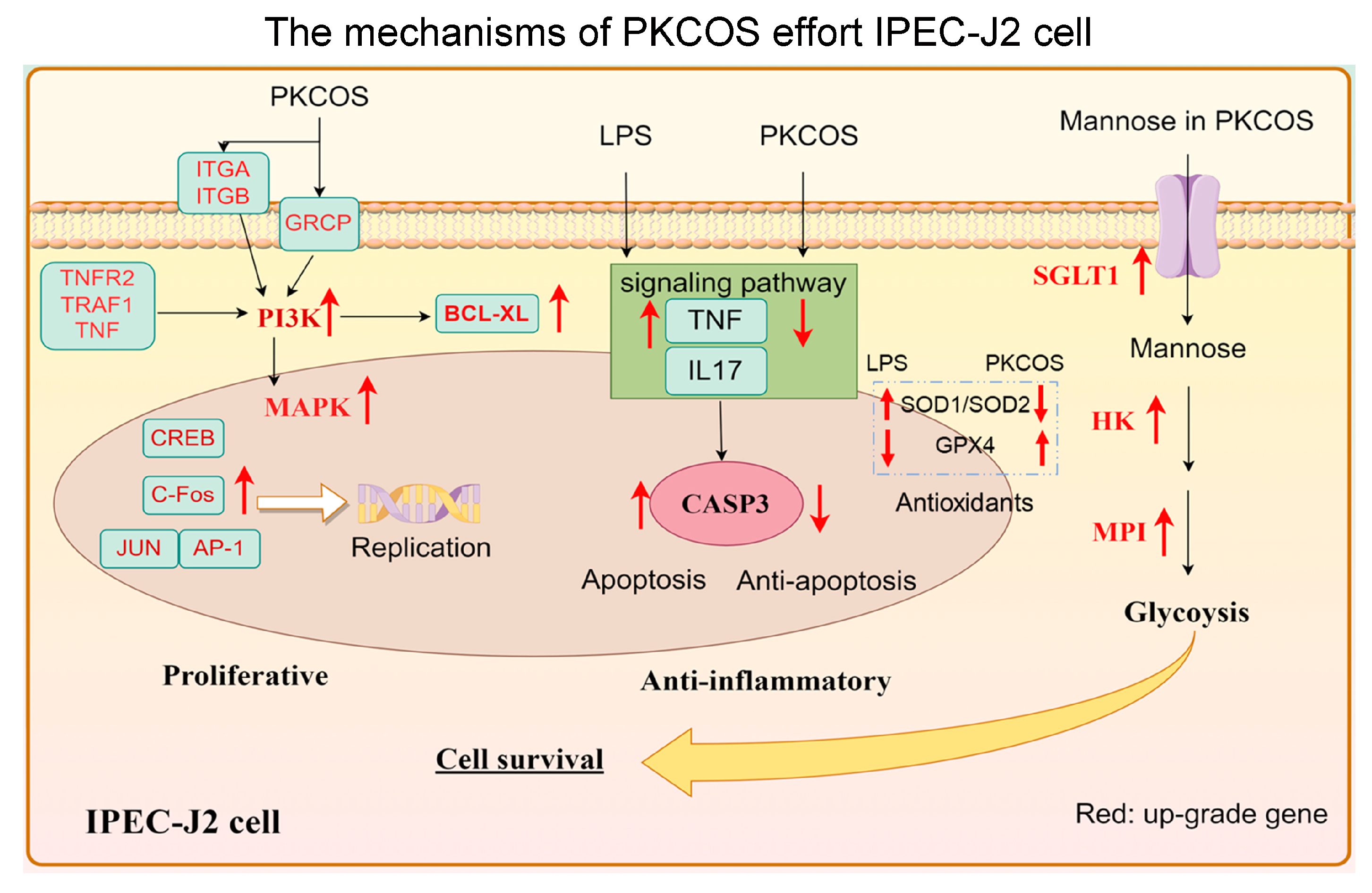 Antioxidants 13 00682 g008