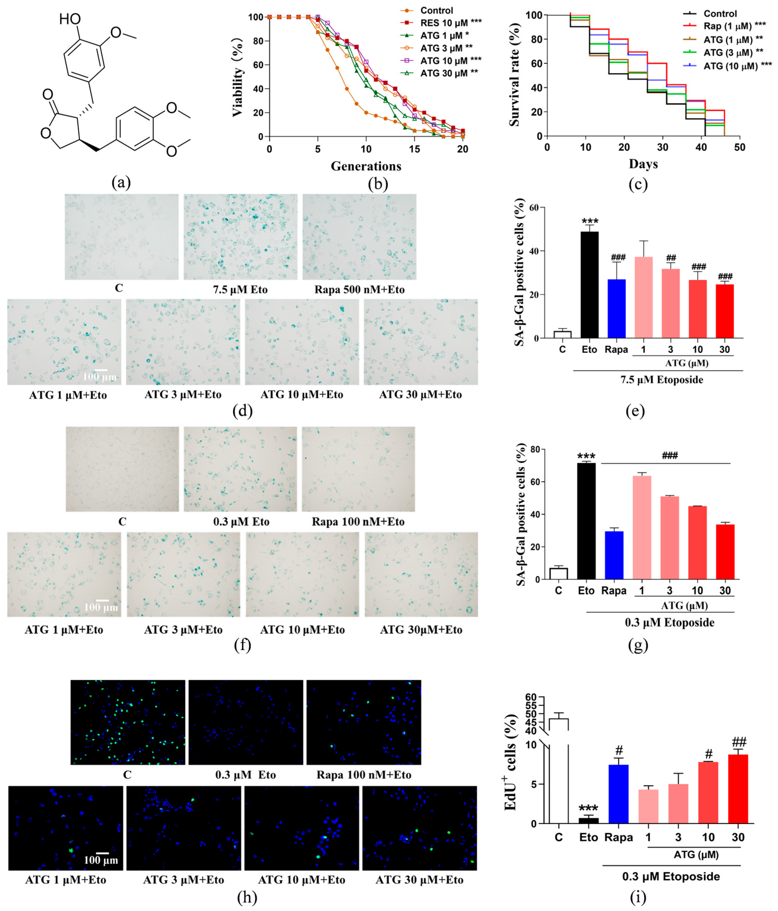 Antioxidants 13 00684 g001