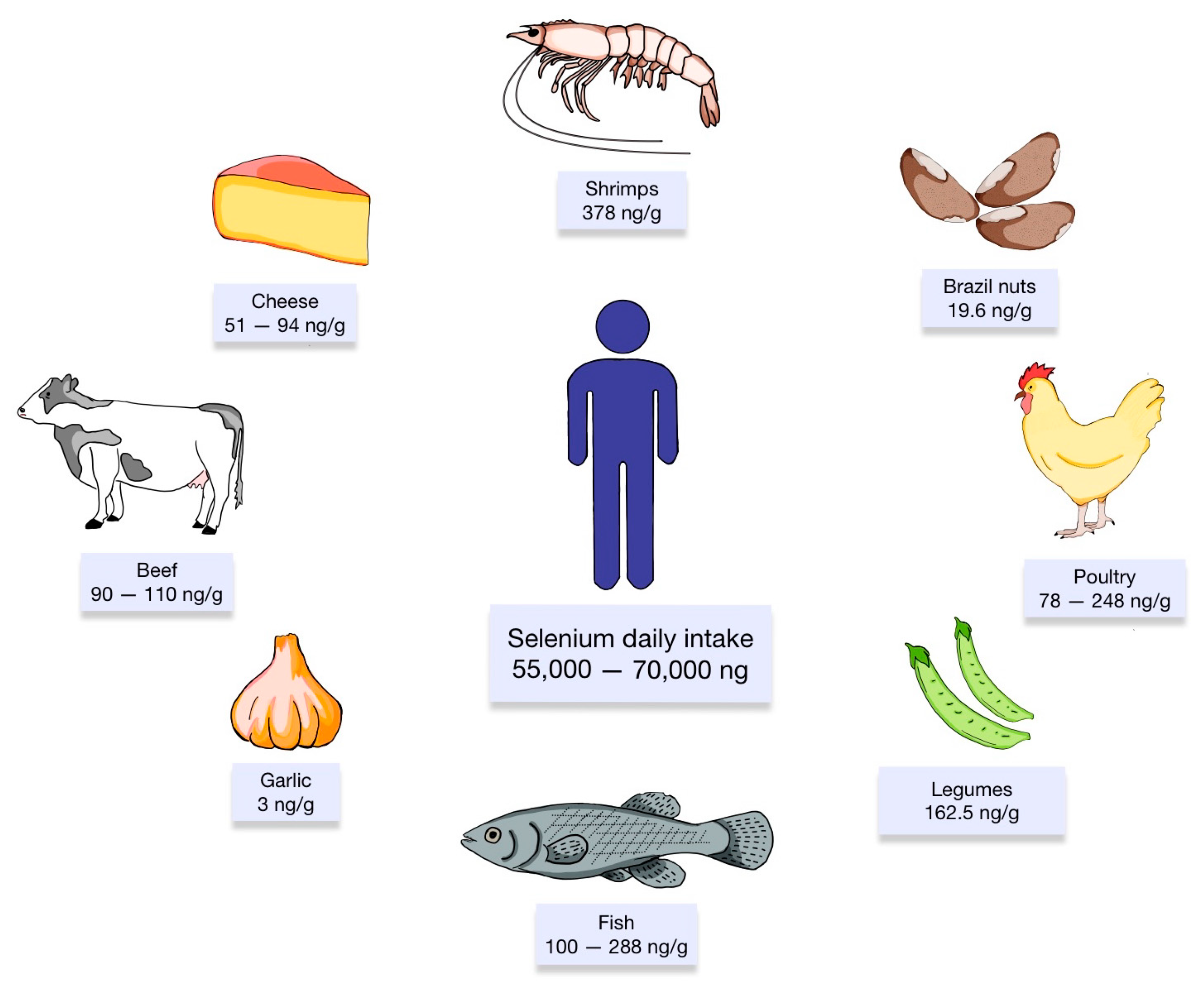 Antioxidants 13 00688 g002