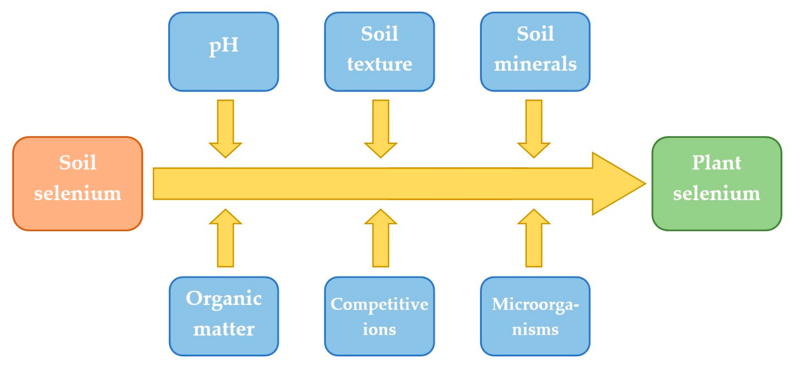 Antioxidants 13 00688 g003
