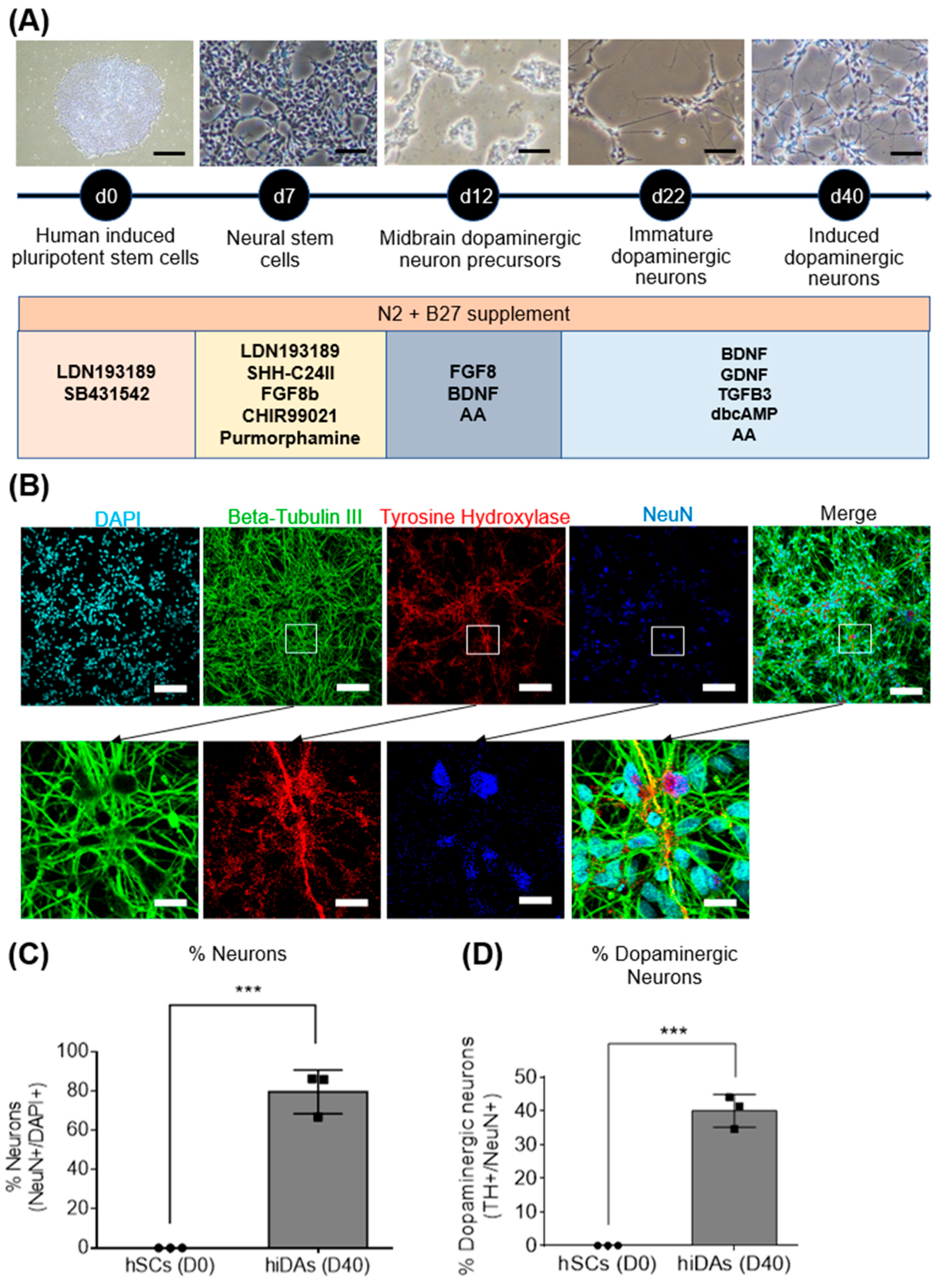 Antioxidants 13 00693 g001