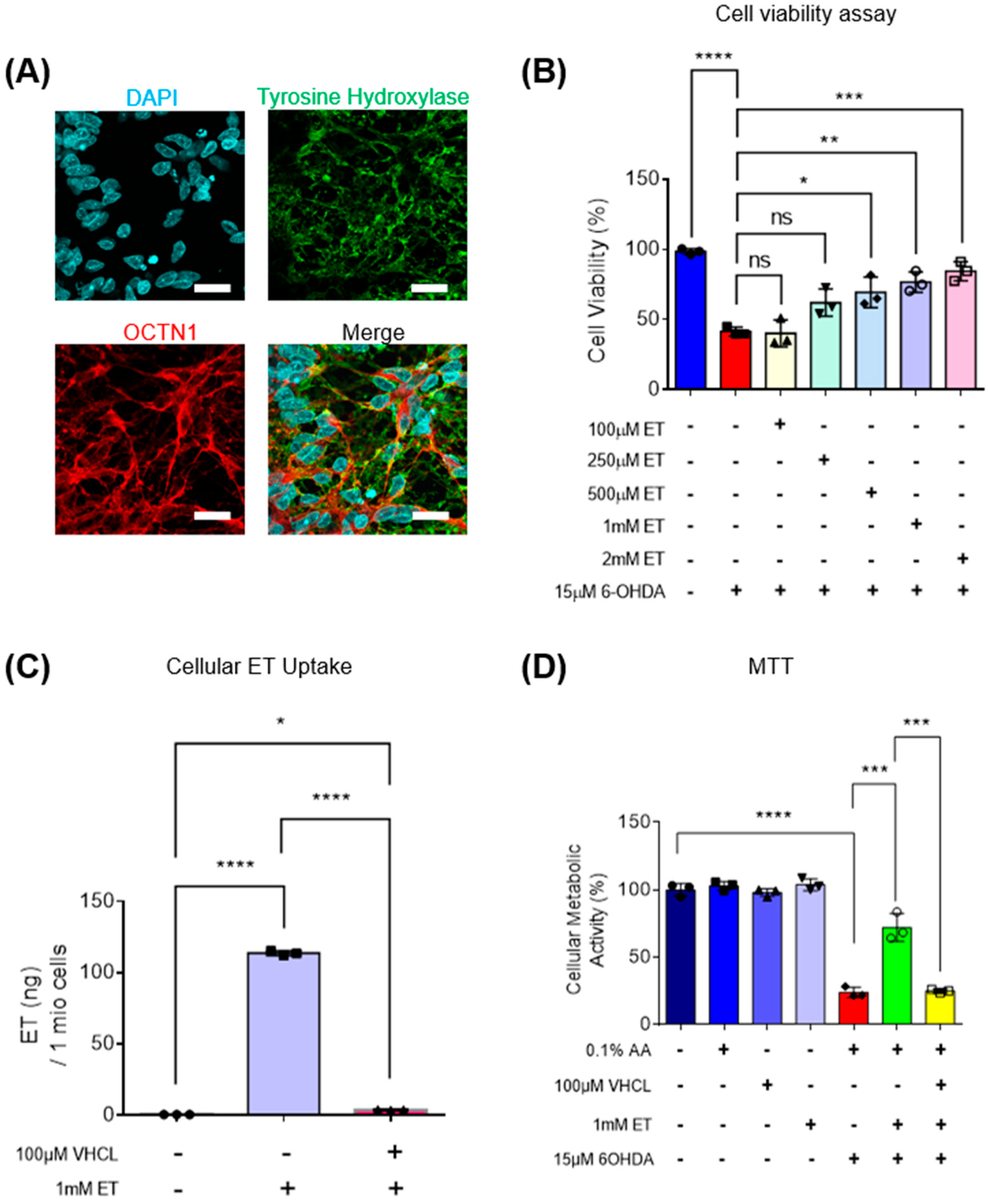 Antioxidants 13 00693 g002