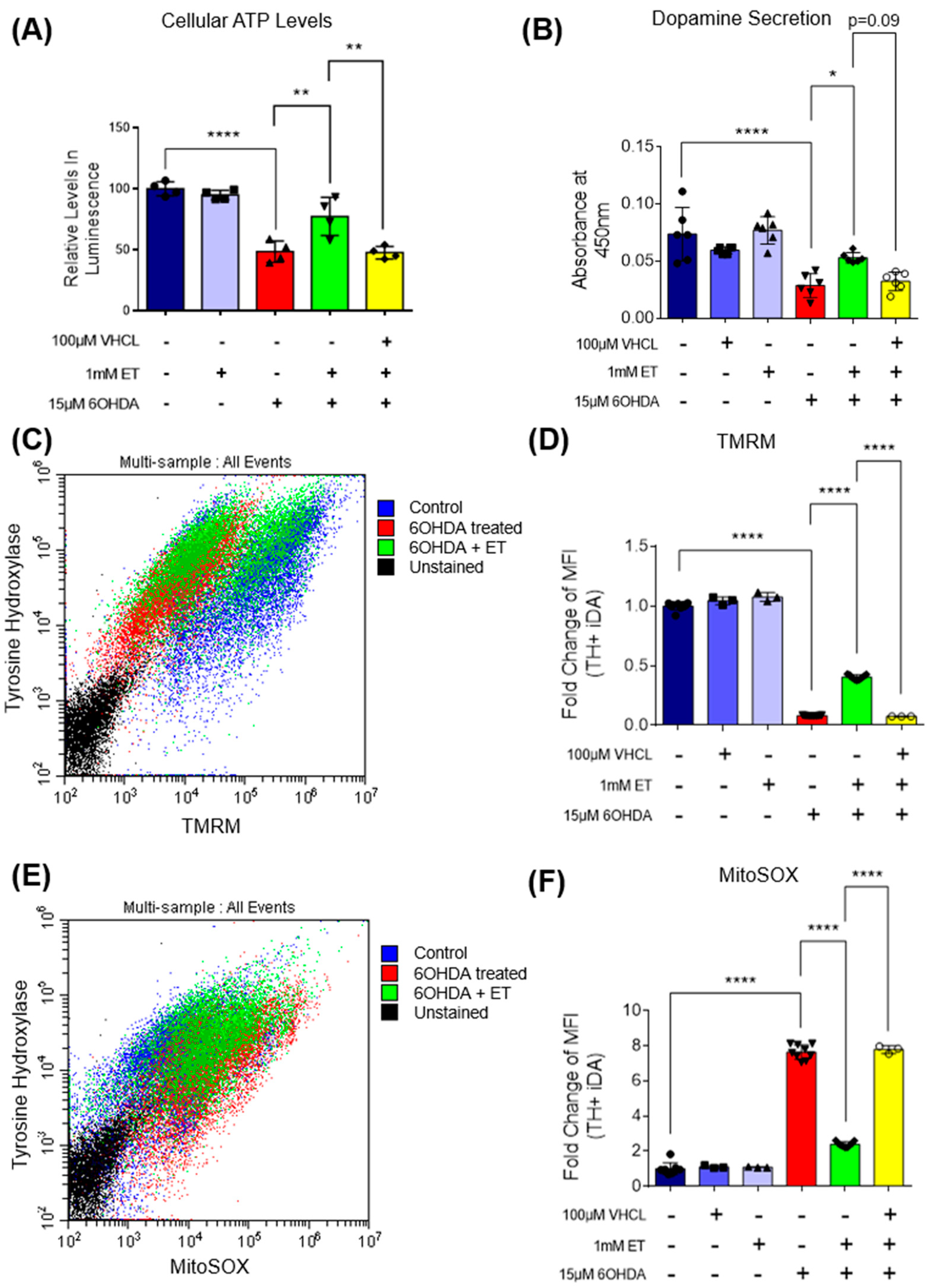 Antioxidants 13 00693 g004