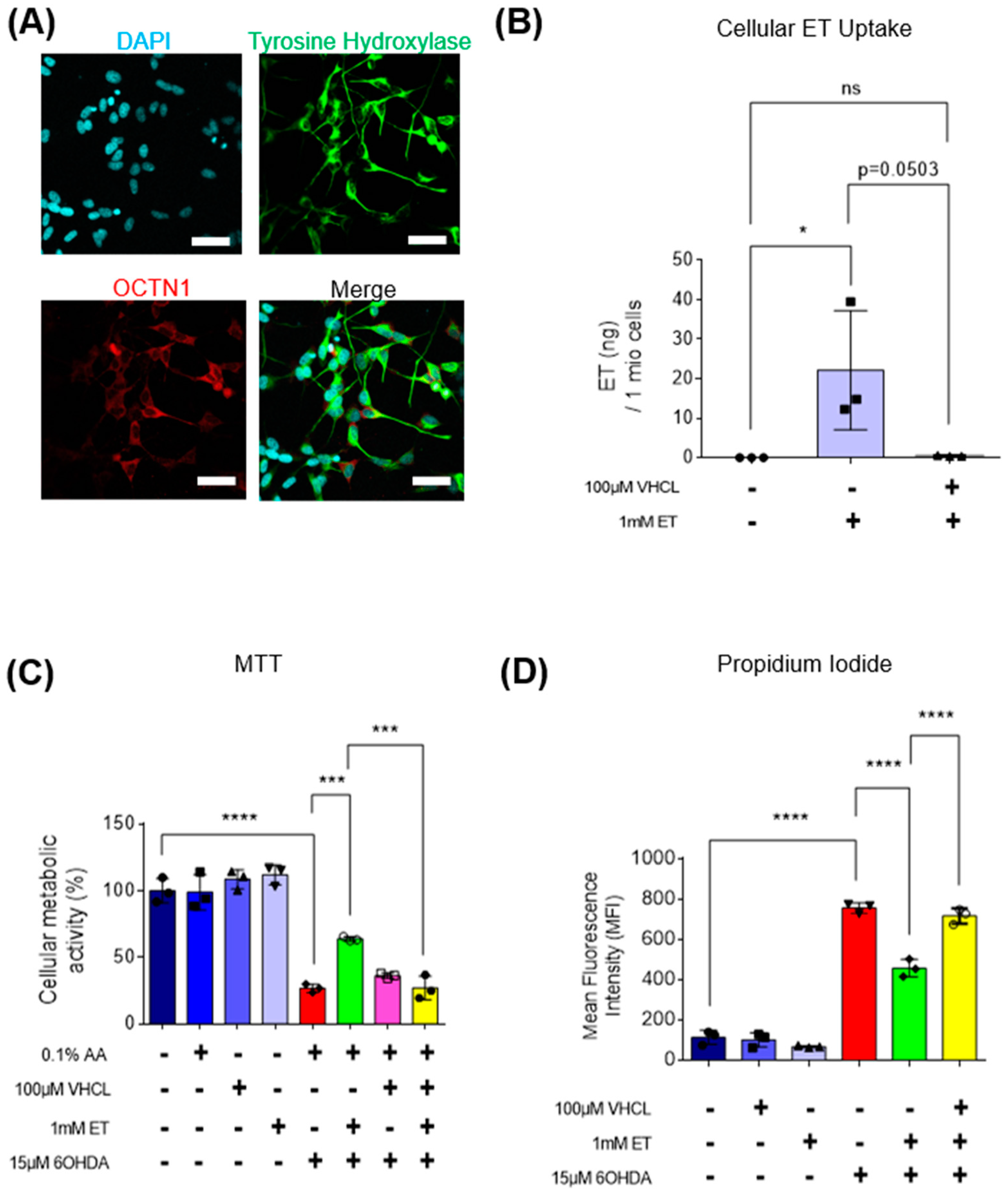 Antioxidants 13 00693 g006