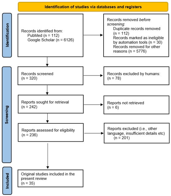 Antioxidants 13 00694 g002