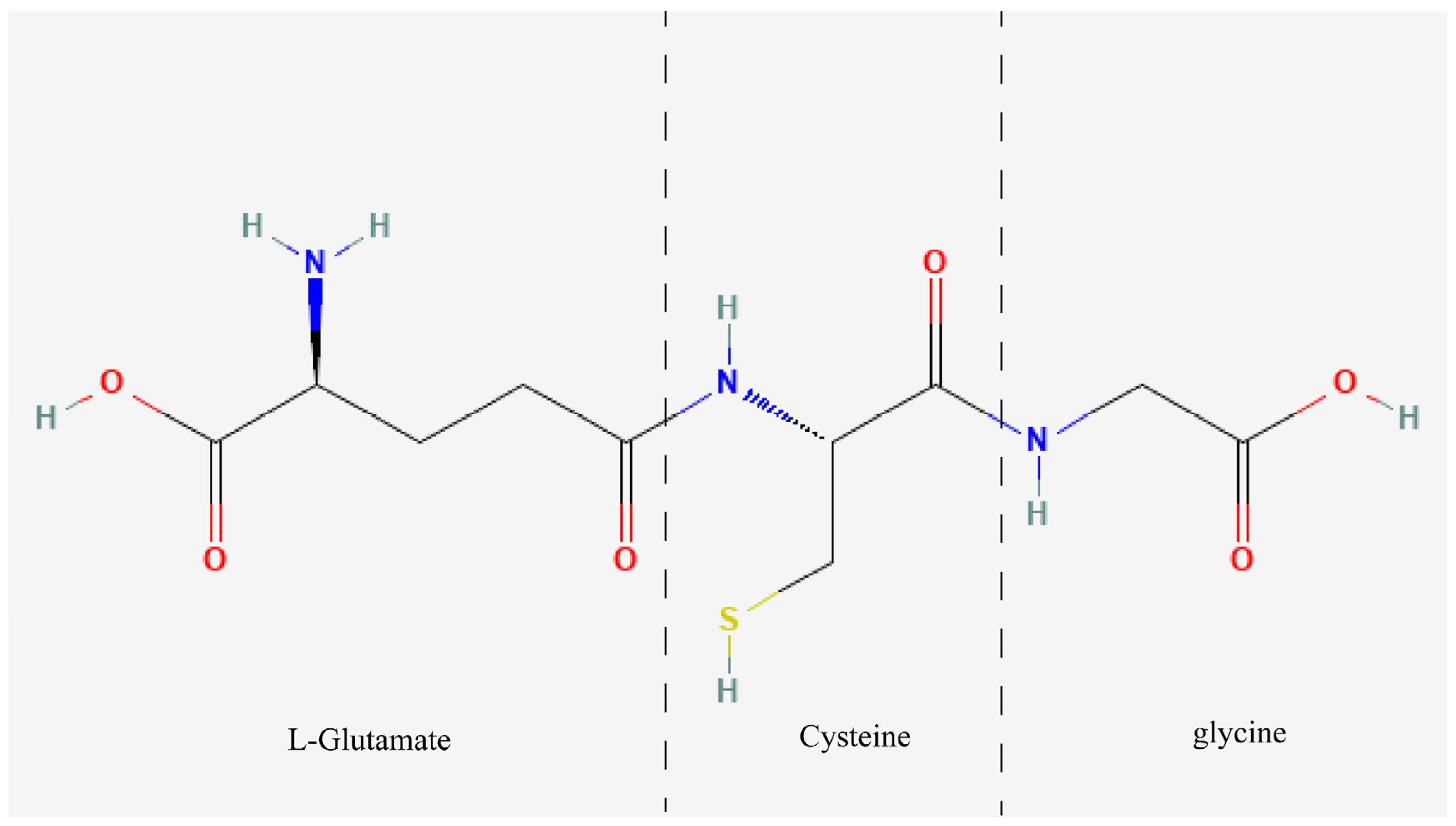Antioxidants 13 00697 g001