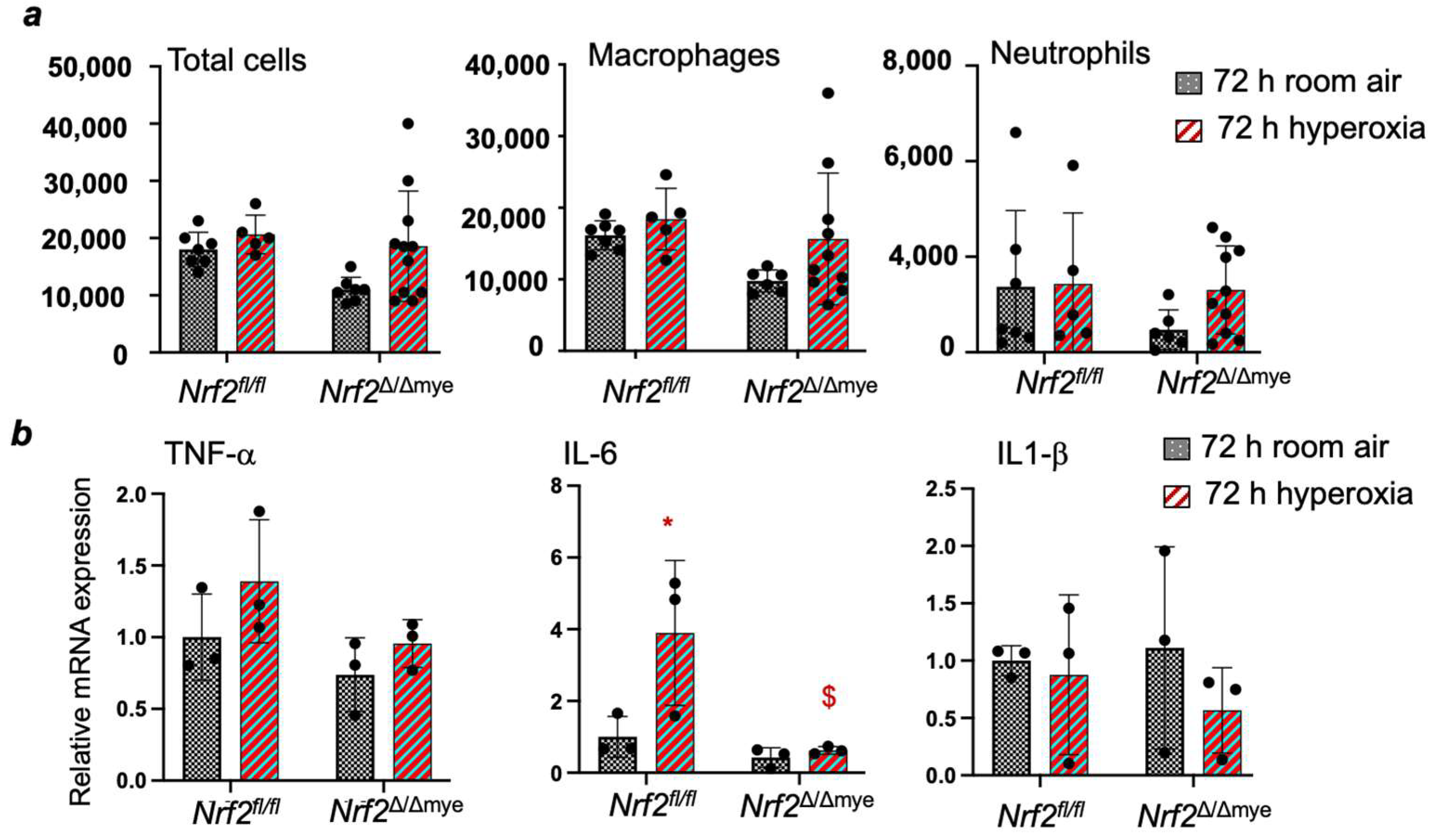 Antioxidants 13 00698 g004
