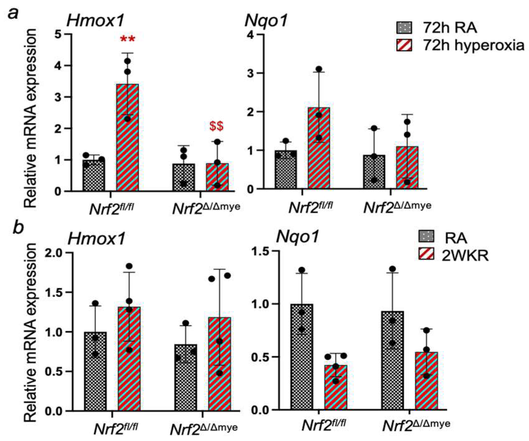 Antioxidants 13 00698 g005