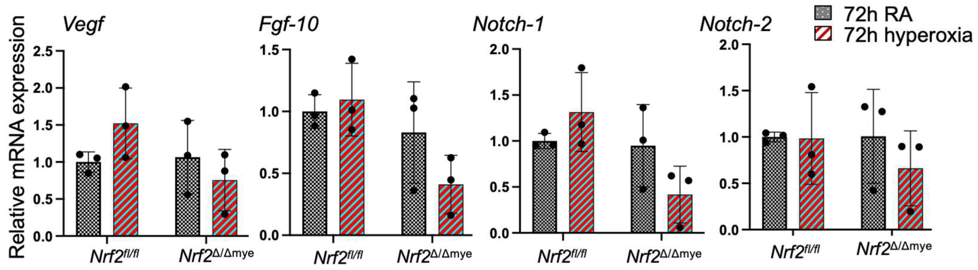 Antioxidants 13 00698 g006