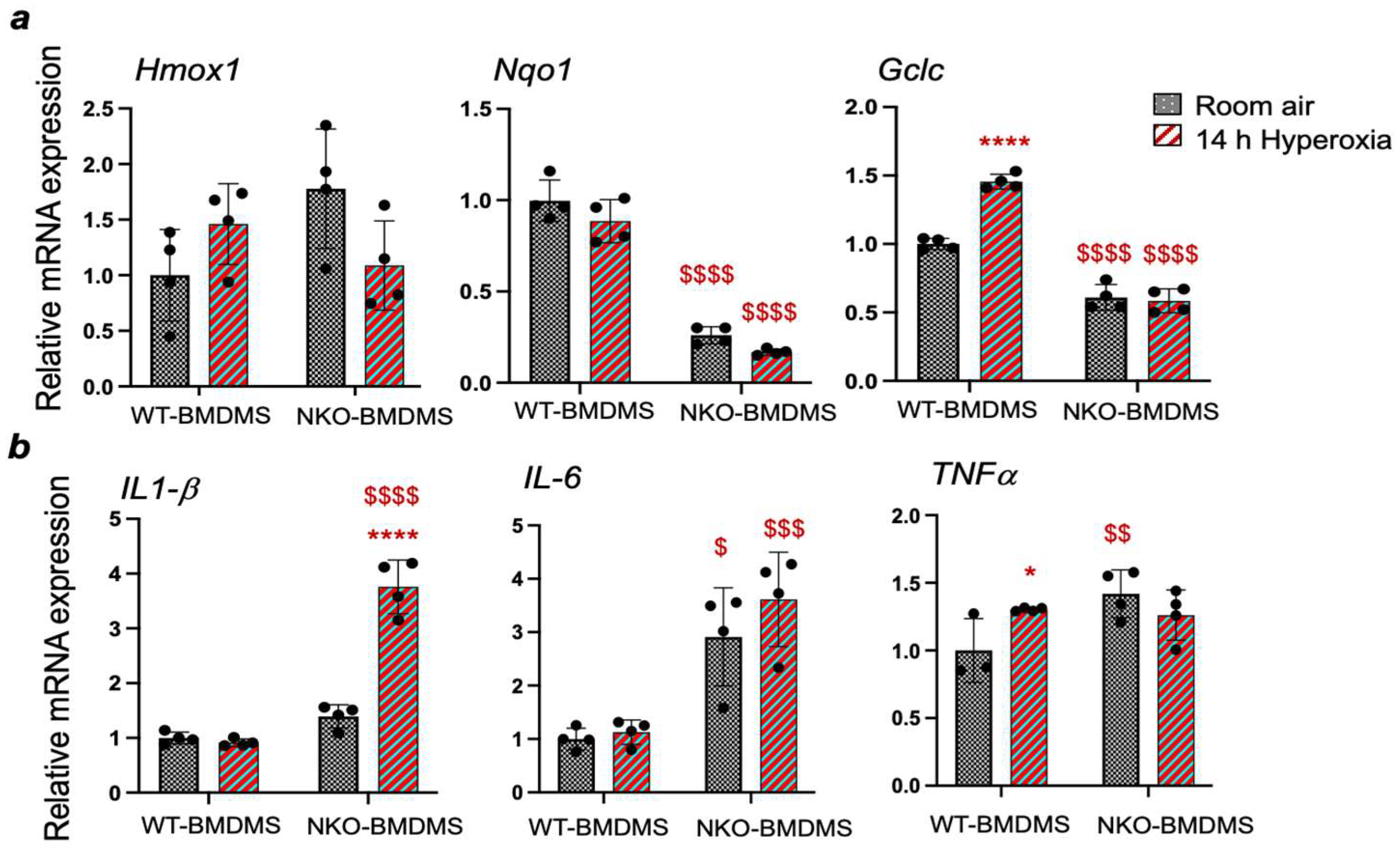 Antioxidants 13 00698 g007