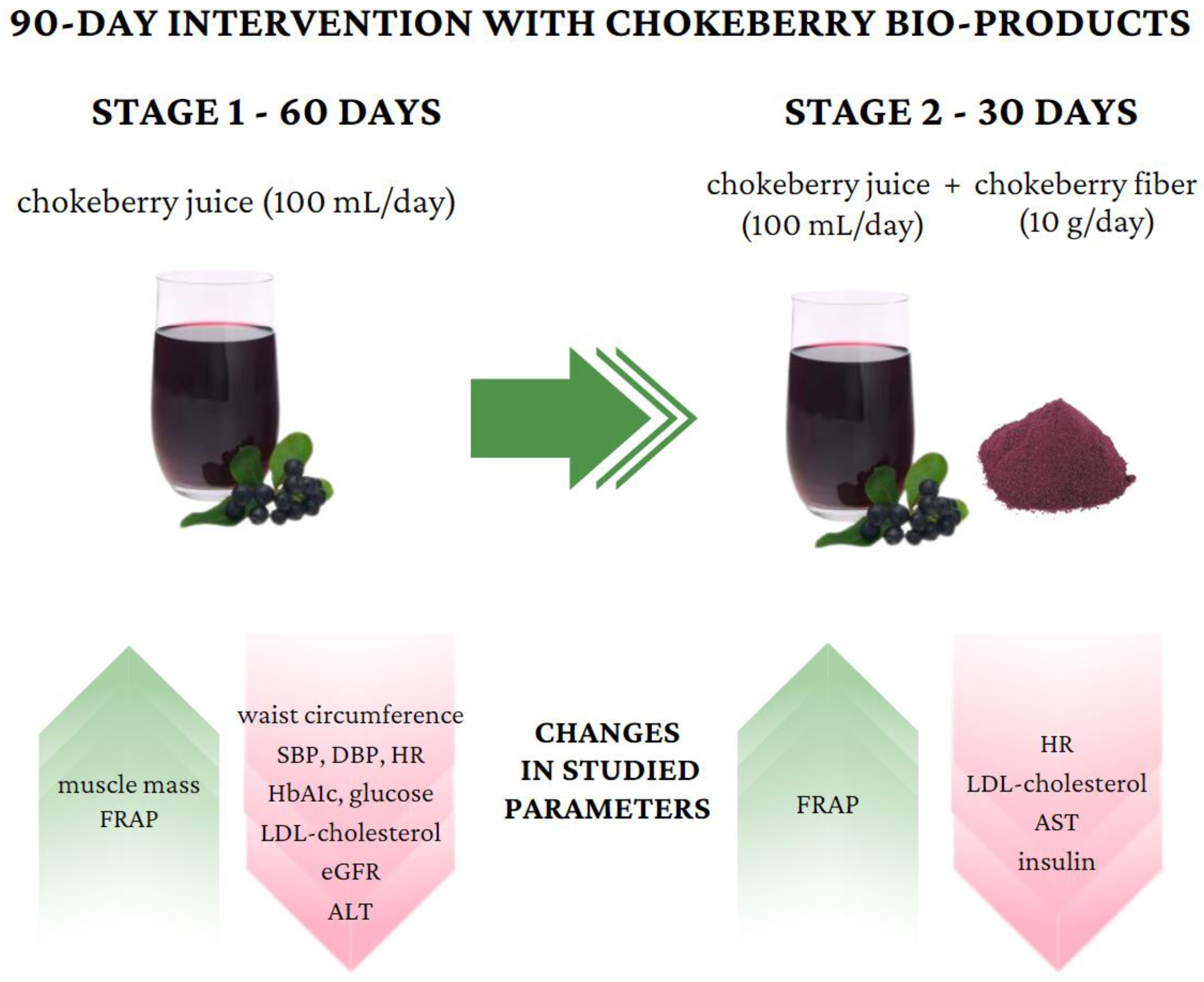 Antioxidants 13 00699 g003