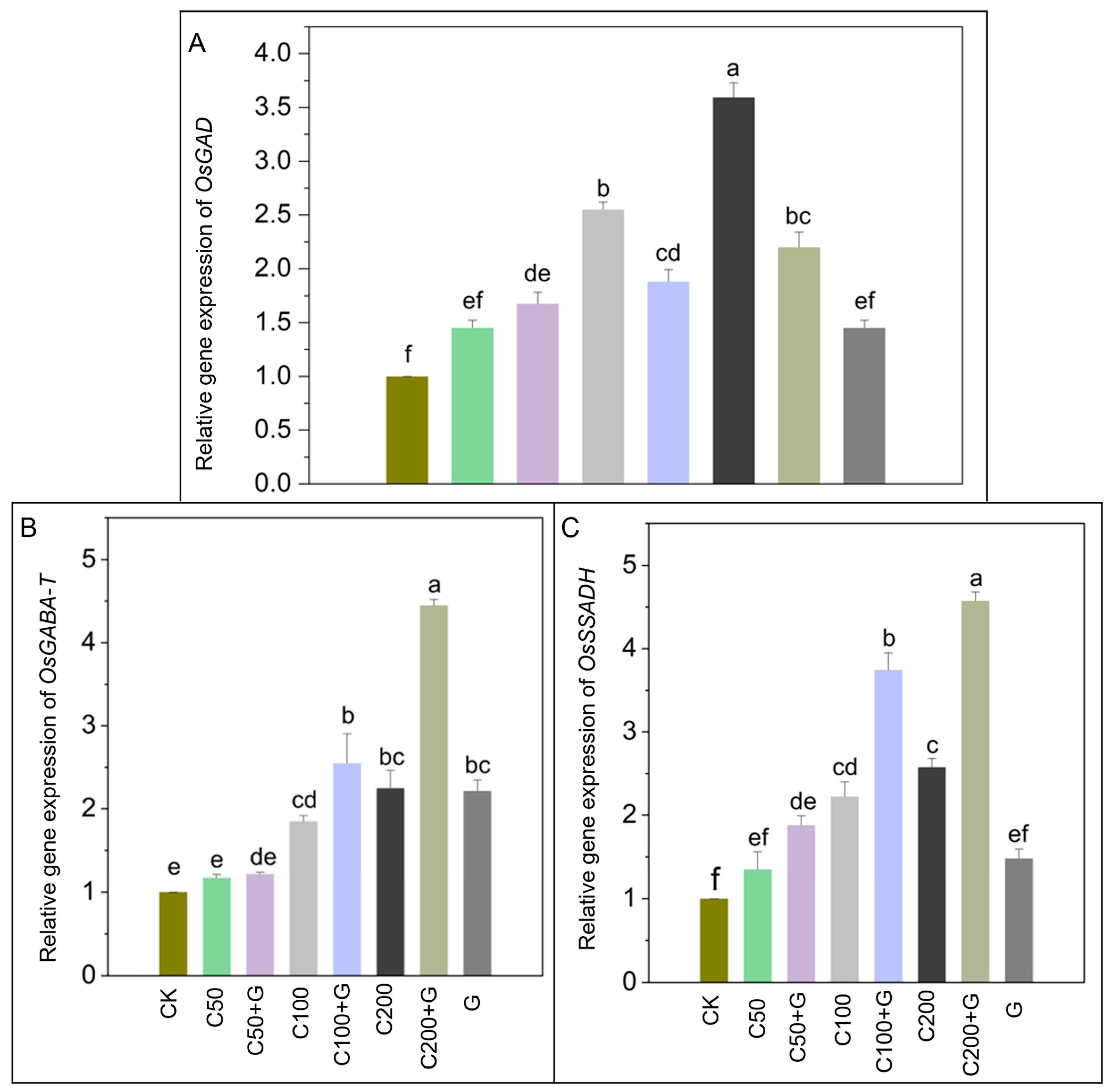 Antioxidants 13 00700 g006
