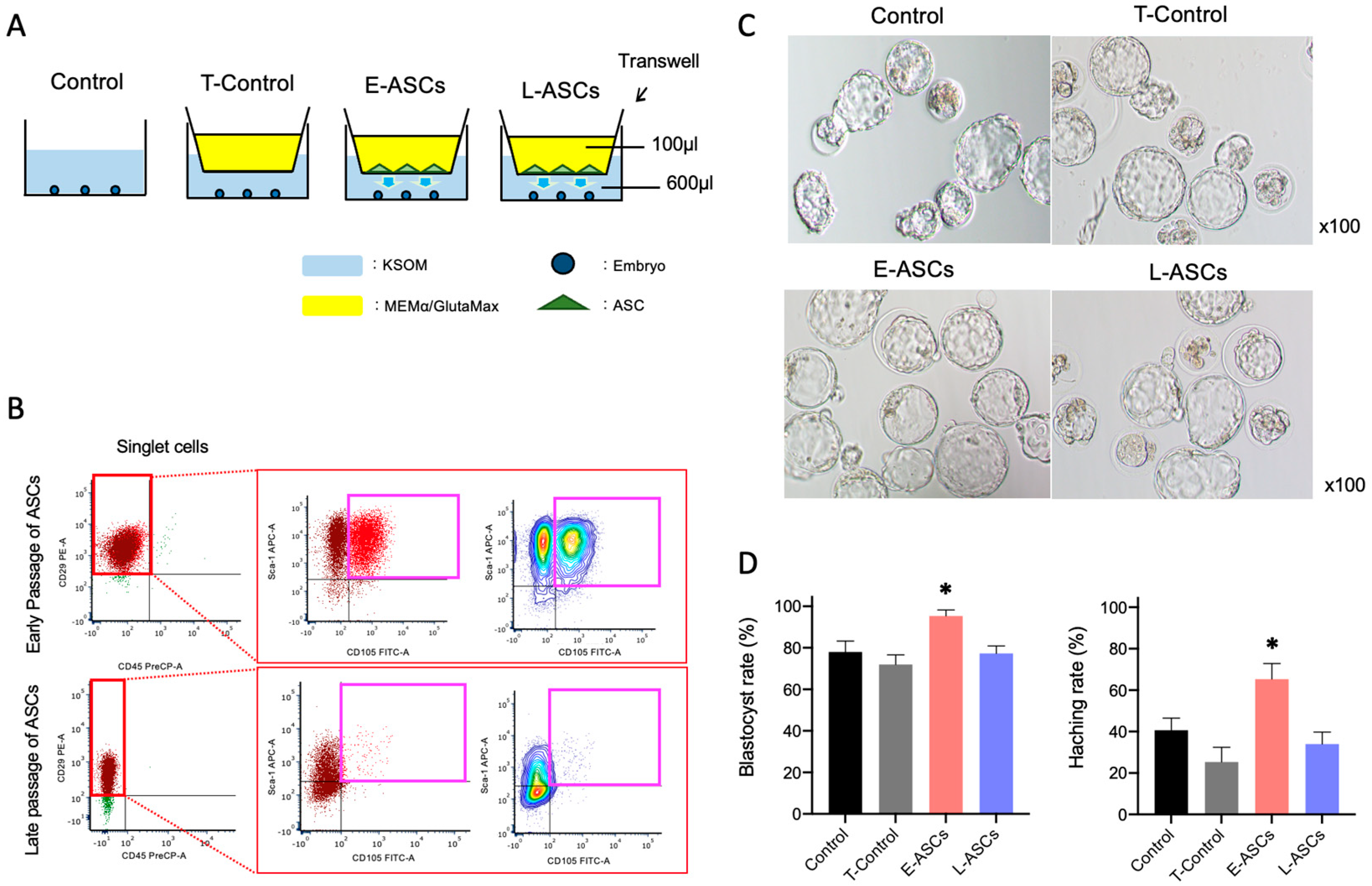 Antioxidants 13 00704 g001